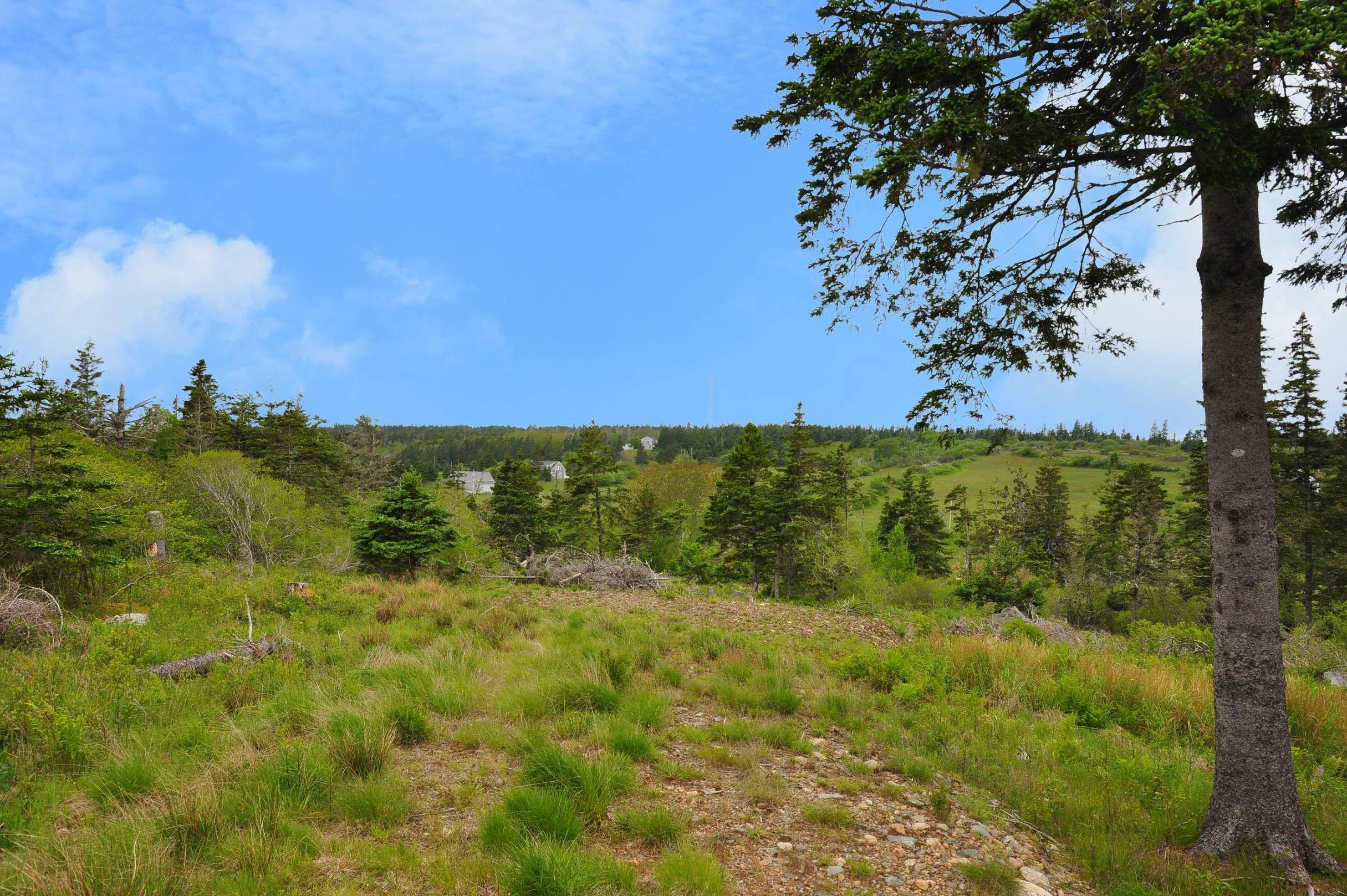 Hirtle Beach Road, Lunenburg Ns B0j 2x0, ,Land,For Sale,Hirtle Beach Road,202400183