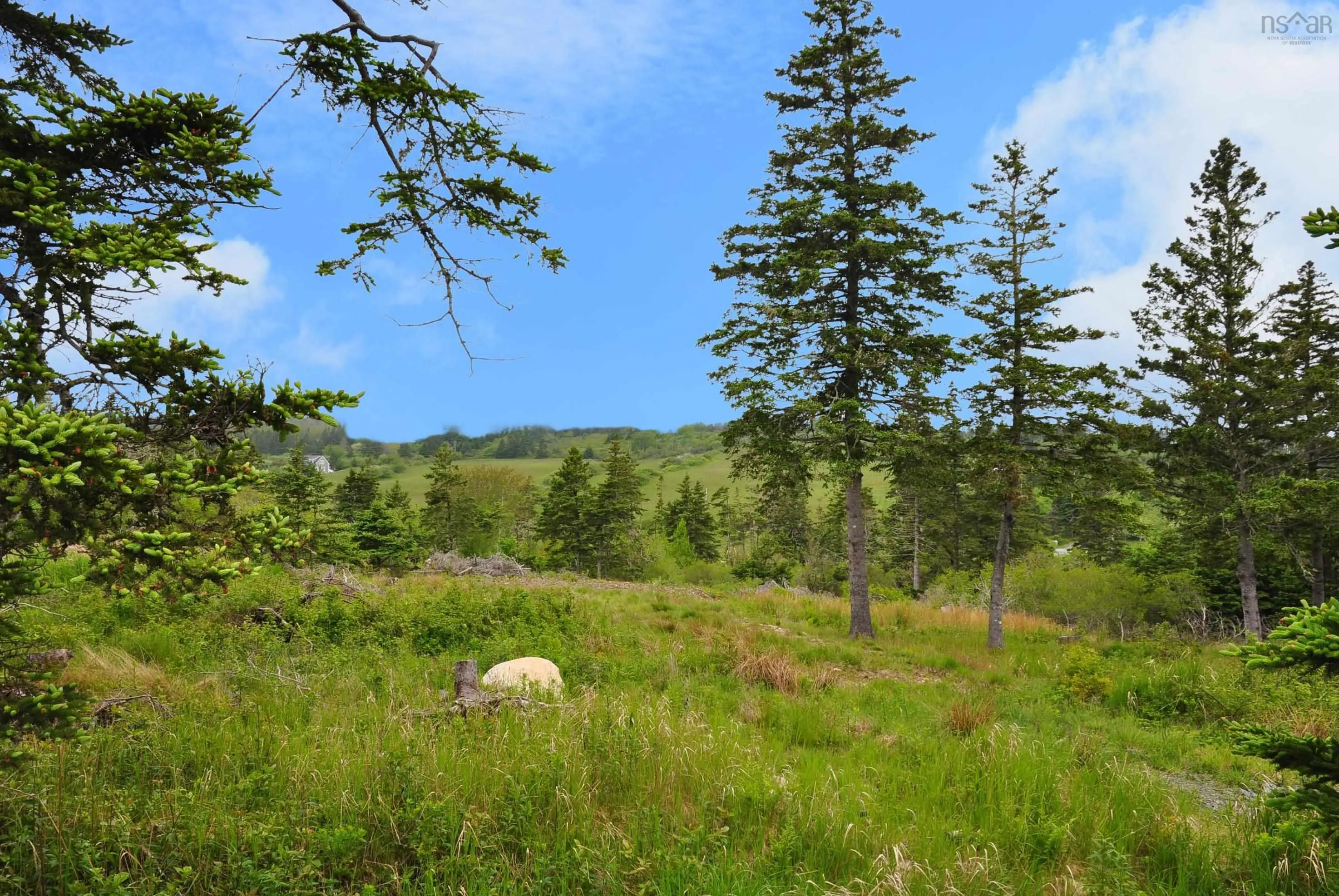 Hirtle Beach Road, Lunenburg Ns B0j 2x0, ,Land,For Sale,Hirtle Beach Road,202400183