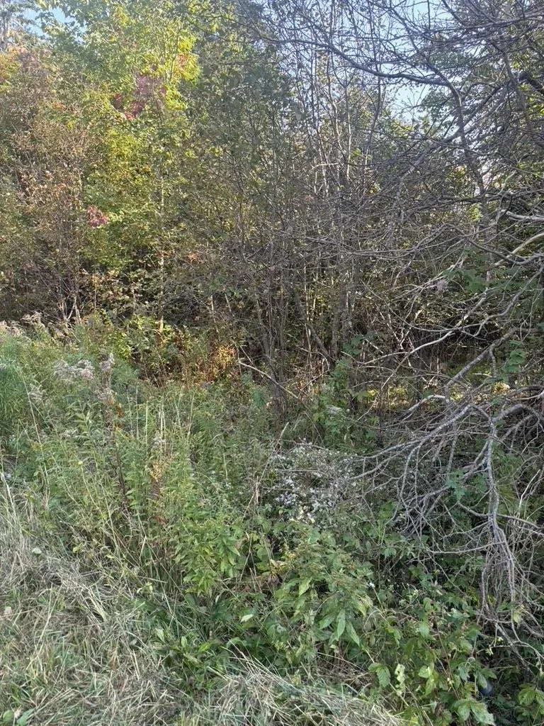 East Petpeswick Road, East Petpeswick Ns B0j 2l0, ,Land,For Sale,East Petpeswick,202504275