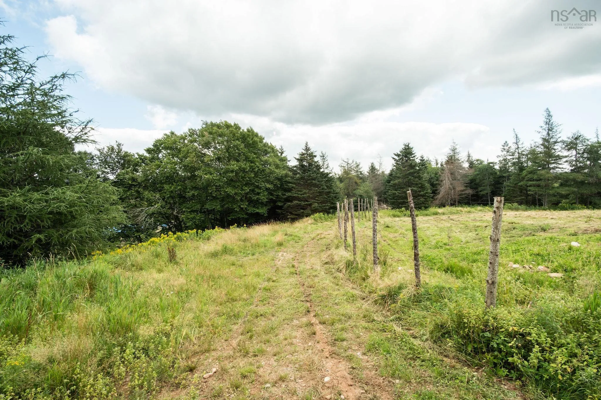 2664 Morrison Rd., Oban, NS B0E 3B0, ,Land,For Sale,Morrison Rd.,202522020