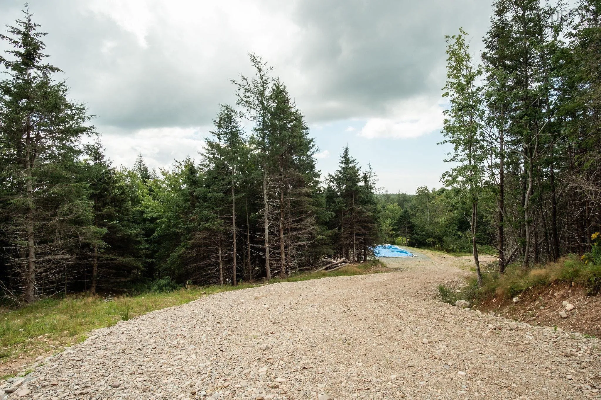 2664 Morrison Rd., Oban, NS B0E 3B0, ,Land,For Sale,Morrison Rd.,202522020