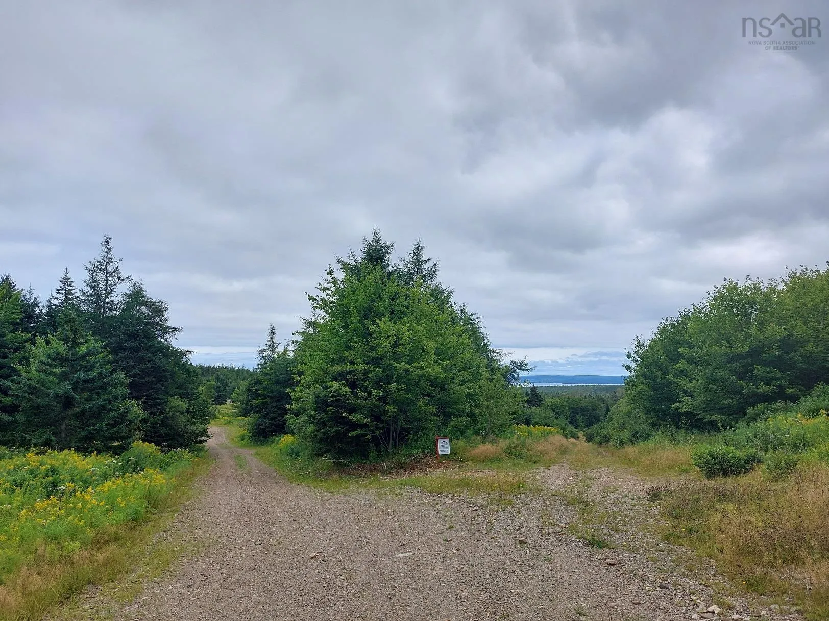 2664 Morrison Rd., Oban, NS B0E 3B0, ,Land,For Sale,Morrison Rd.,202522020