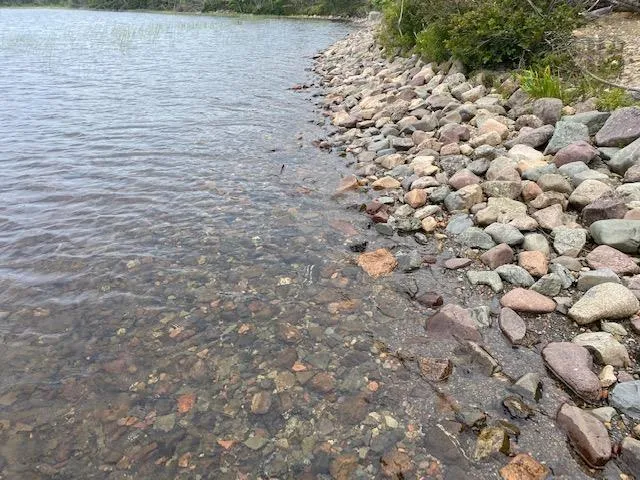 Grand Mira South Road, Cape Breton, NS B1K 1K7, ,Land,For Sale,Grand Mira South,202521381