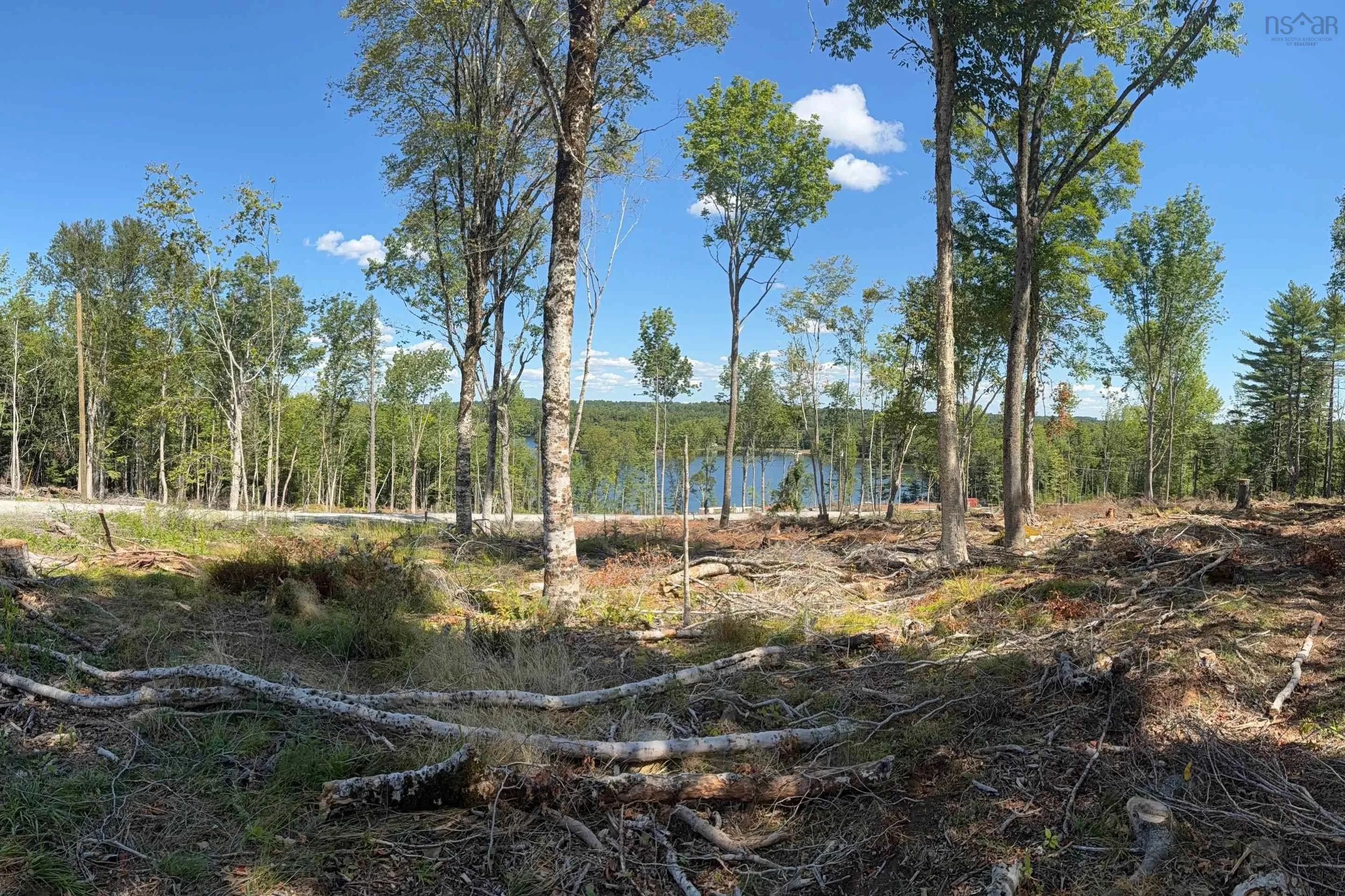 Sweetland Road Lot 7, Sweetland, NS B0J 1E0, ,Land,For Sale,Sweetland,202522161