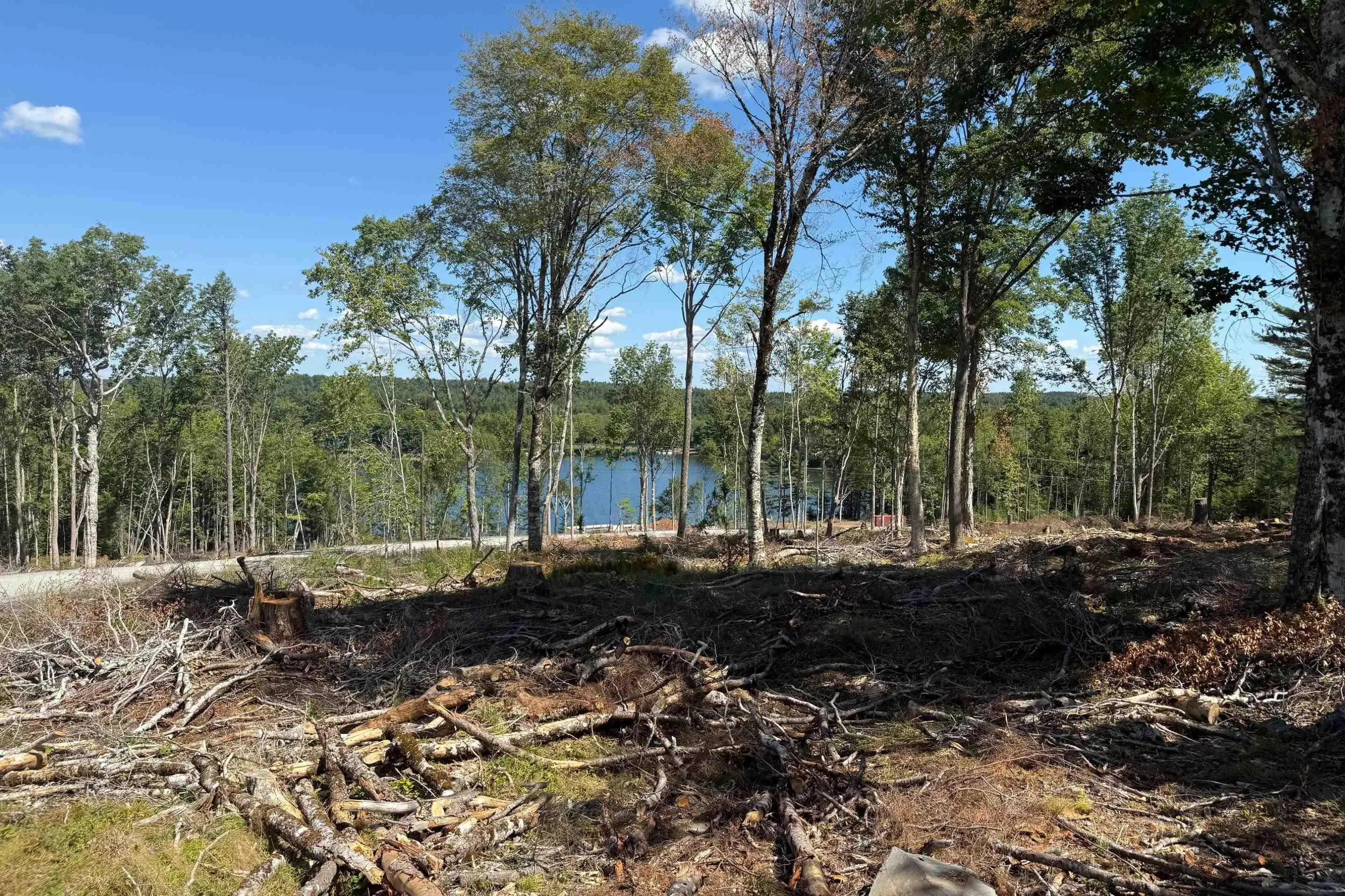 Sweetland Road Lot 7, Sweetland, NS B0J 1E0, ,Land,For Sale,Sweetland,202522161
