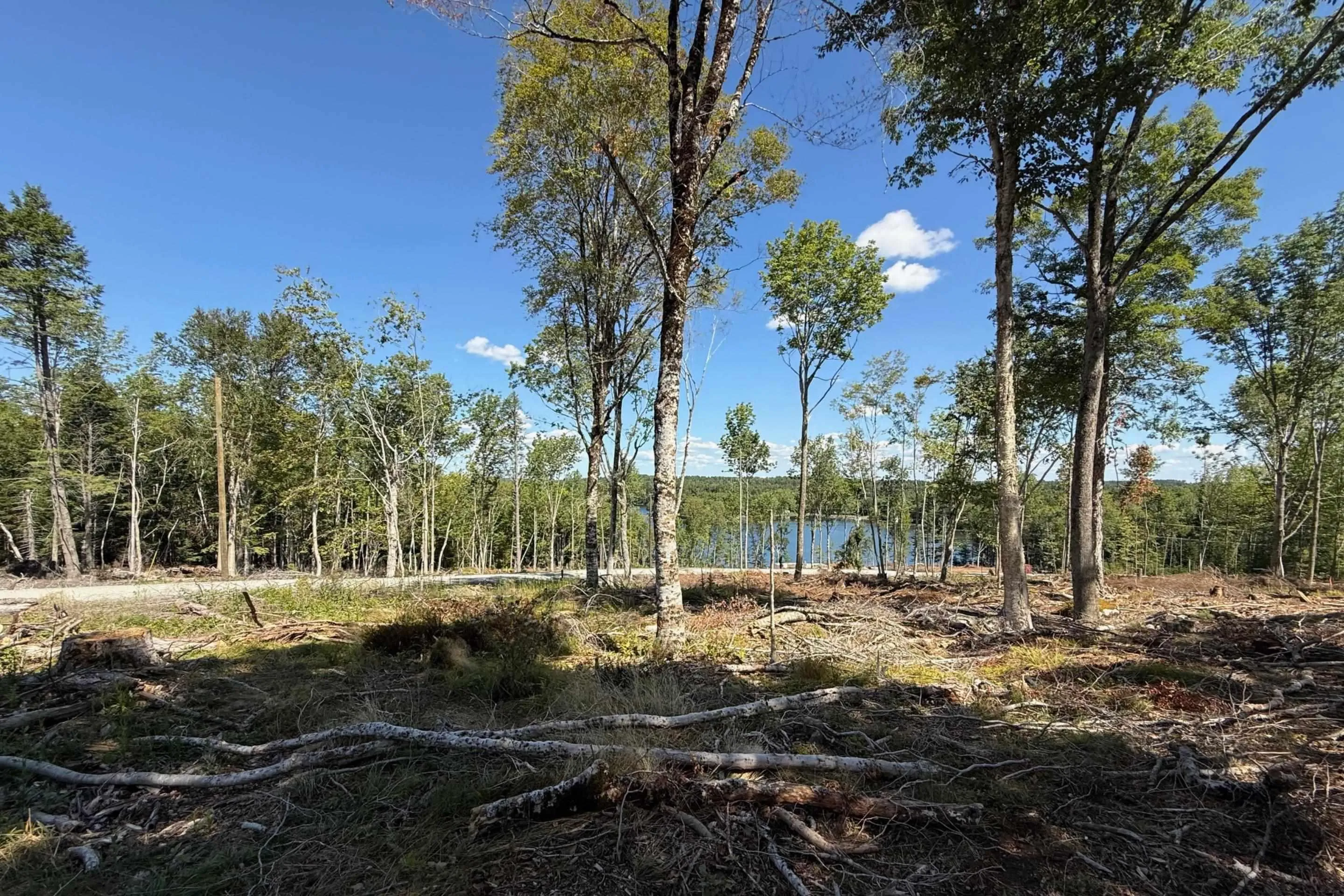 Sweetland Road Lot 7, Sweetland, NS B0J 1E0, ,Land,For Sale,Sweetland,202522161