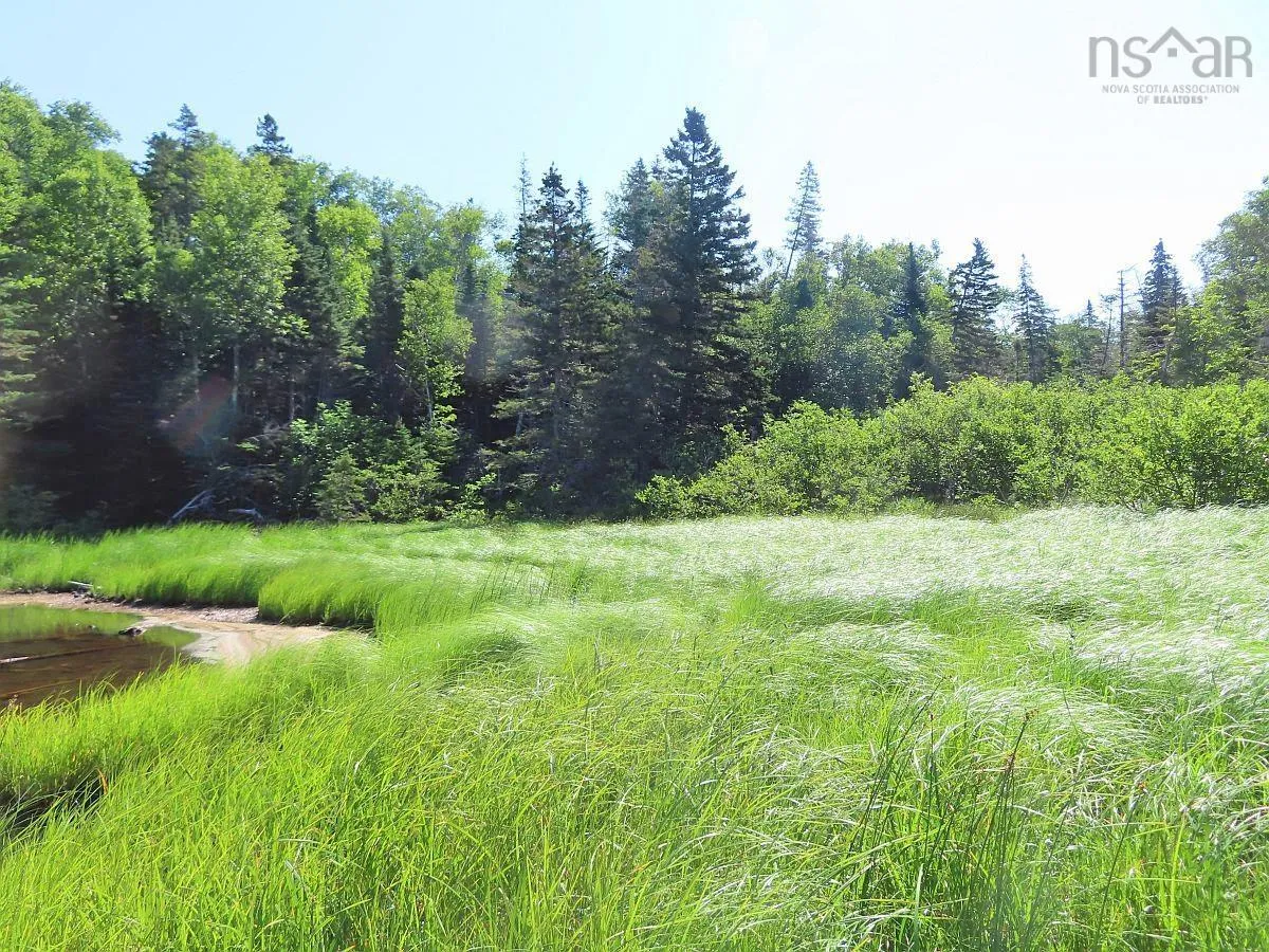 195 Acres West Bay Highway, Roberta Ns B0e 3k0, ,Land,For Sale,West Bay,202509009