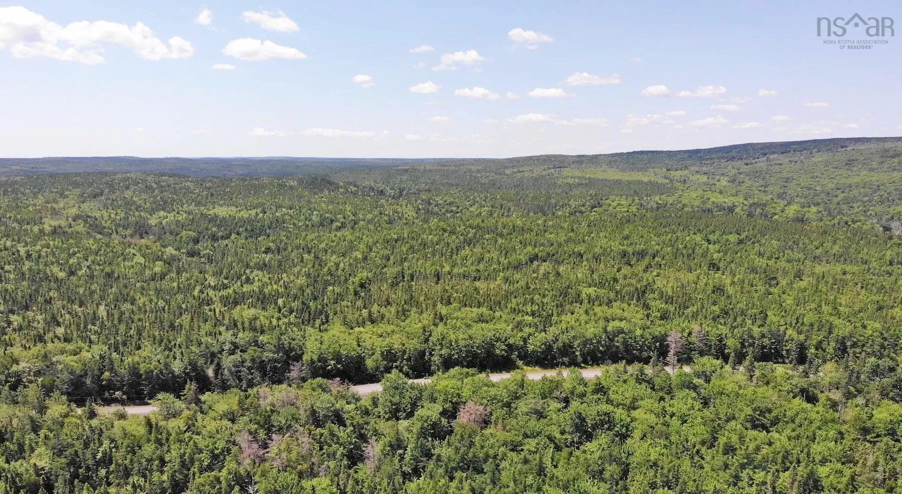195 Acres West Bay Highway, Roberta Ns B0e 3k0, ,Land,For Sale,West Bay,202509009