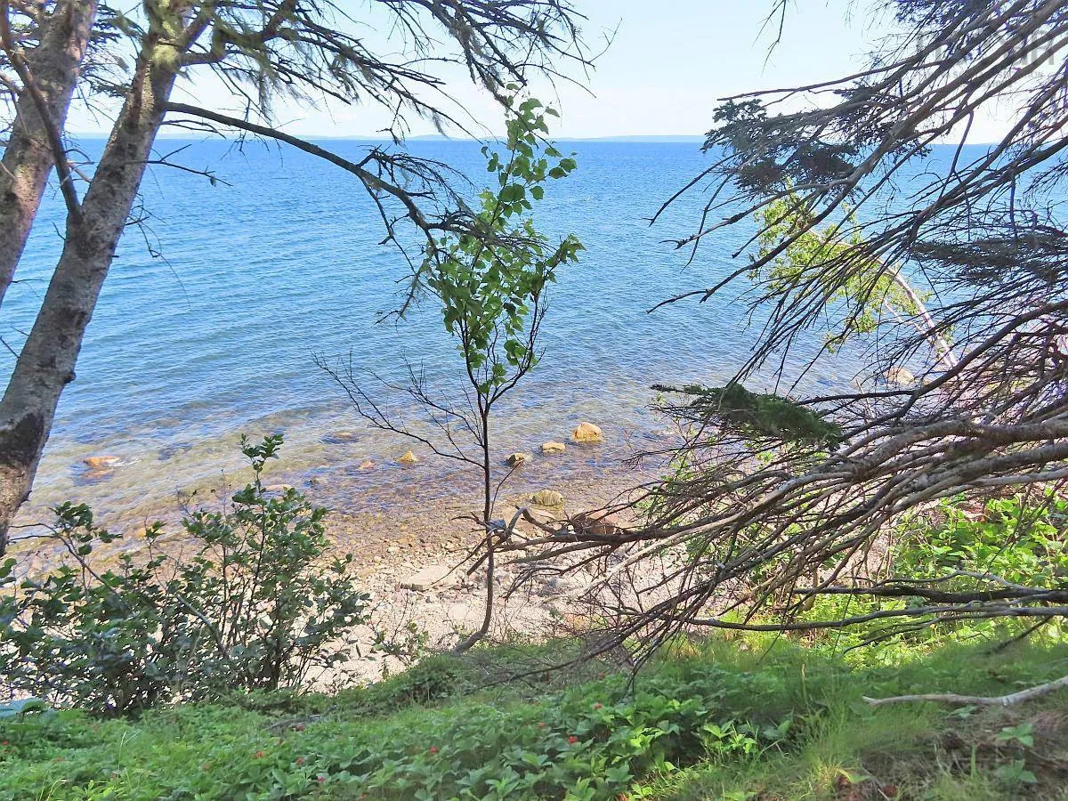 195 Acres West Bay Highway, Roberta Ns B0e 3k0, ,Land,For Sale,West Bay,202509009