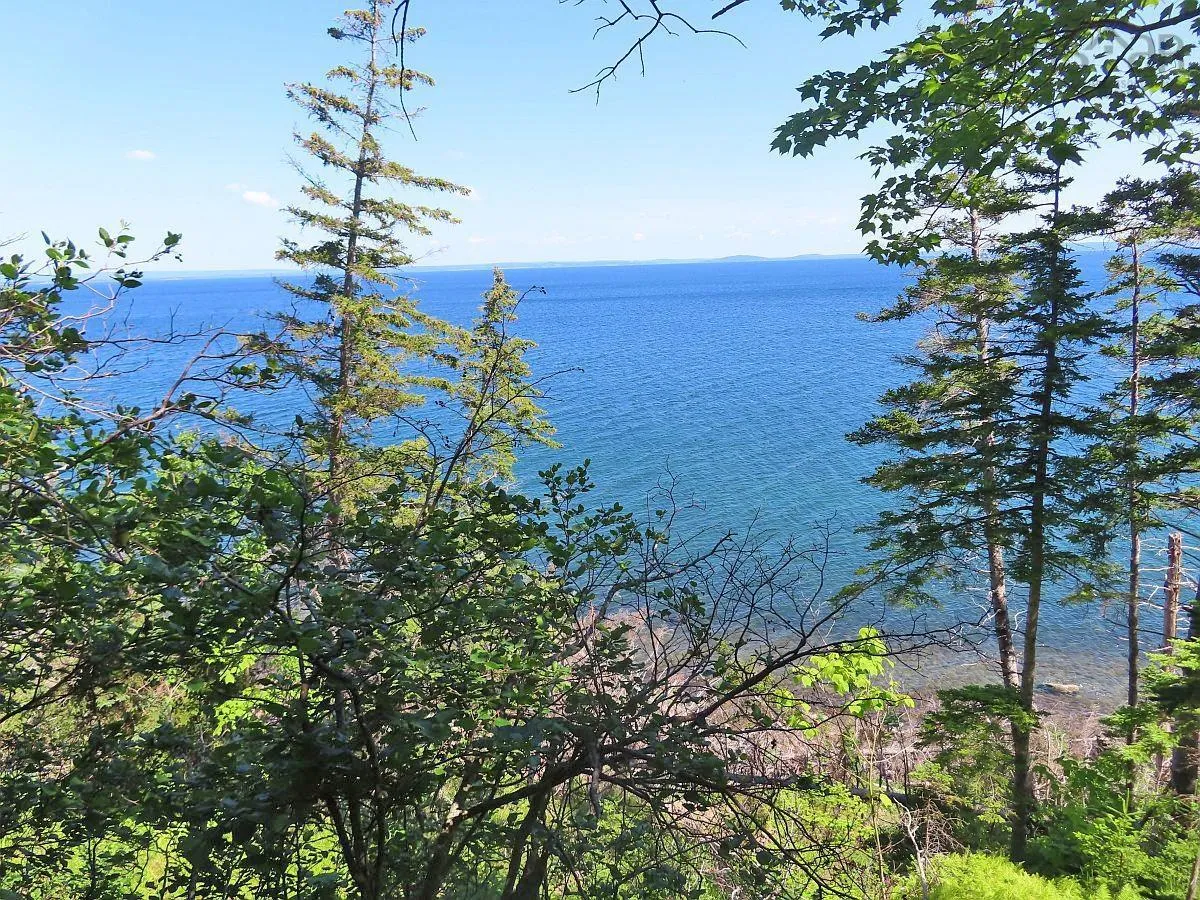 195 Acres West Bay Highway, Roberta Ns B0e 3k0, ,Land,For Sale,West Bay,202509009