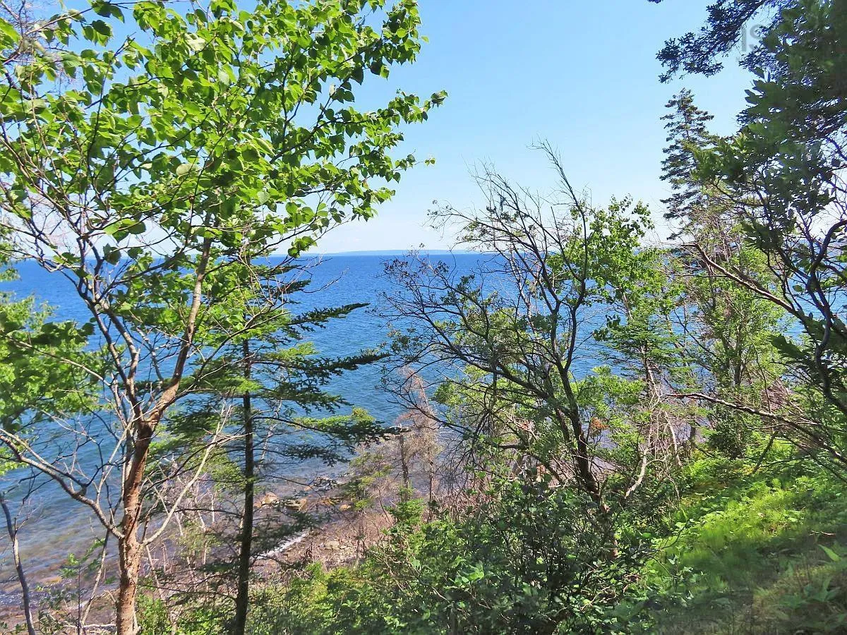 195 Acres West Bay Highway, Roberta Ns B0e 3k0, ,Land,For Sale,West Bay,202509009