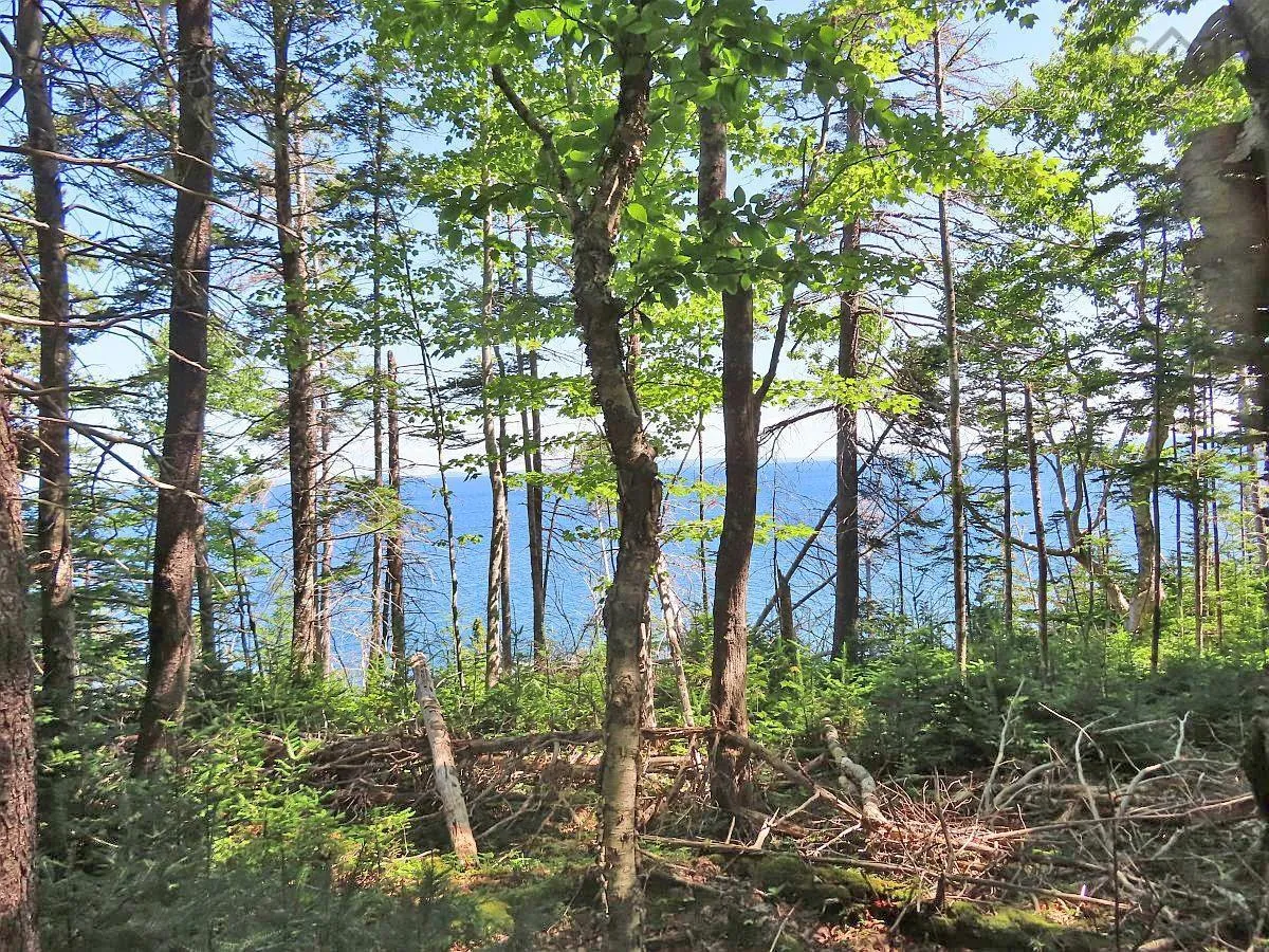 195 Acres West Bay Highway, Roberta Ns B0e 3k0, ,Land,For Sale,West Bay,202509009