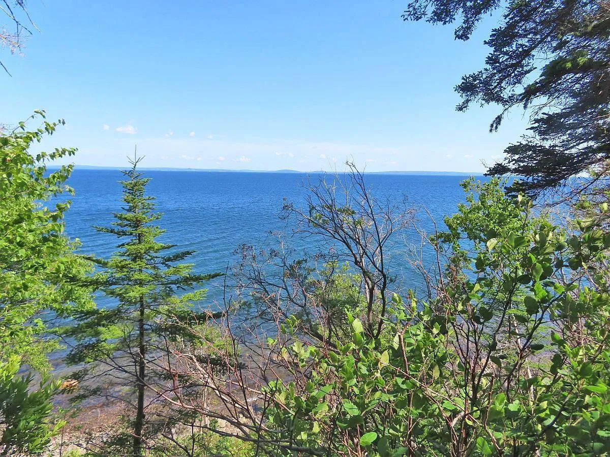 195 Acres West Bay Highway, Roberta Ns B0e 3k0, ,Land,For Sale,West Bay,202509009