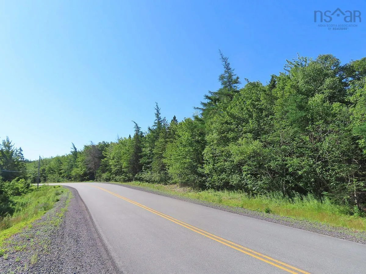 195 Acres West Bay Highway, Roberta Ns B0e 3k0, ,Land,For Sale,West Bay,202509009