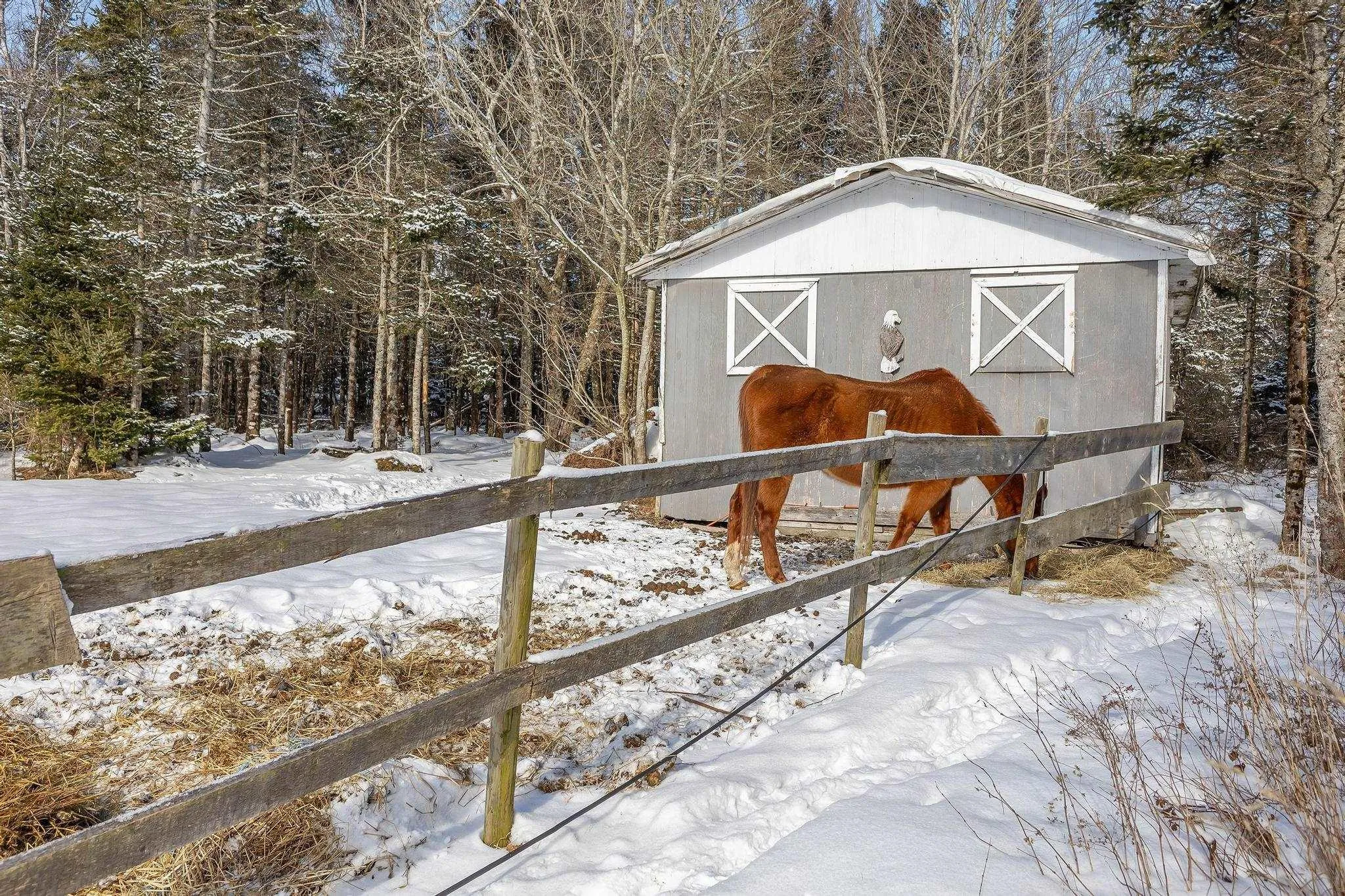 2135 Melrose Country Harbour Road, Country Harbour Ns B0h 1j0, 3 Bedrooms Bedrooms, ,1 BathroomBathrooms,Residential,For Sale,Melrose Country Harbour,202503079