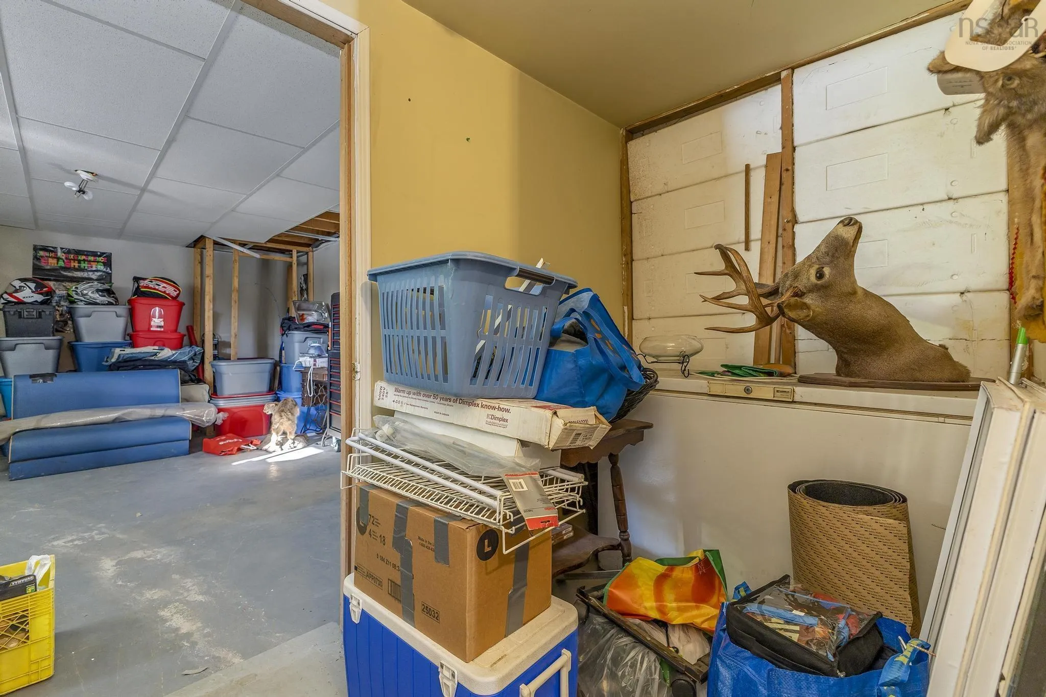 2135 Melrose Country Harbour Road, Country Harbour Ns B0h 1j0, 3 Bedrooms Bedrooms, ,1 BathroomBathrooms,Residential,For Sale,Melrose Country Harbour,202503079
