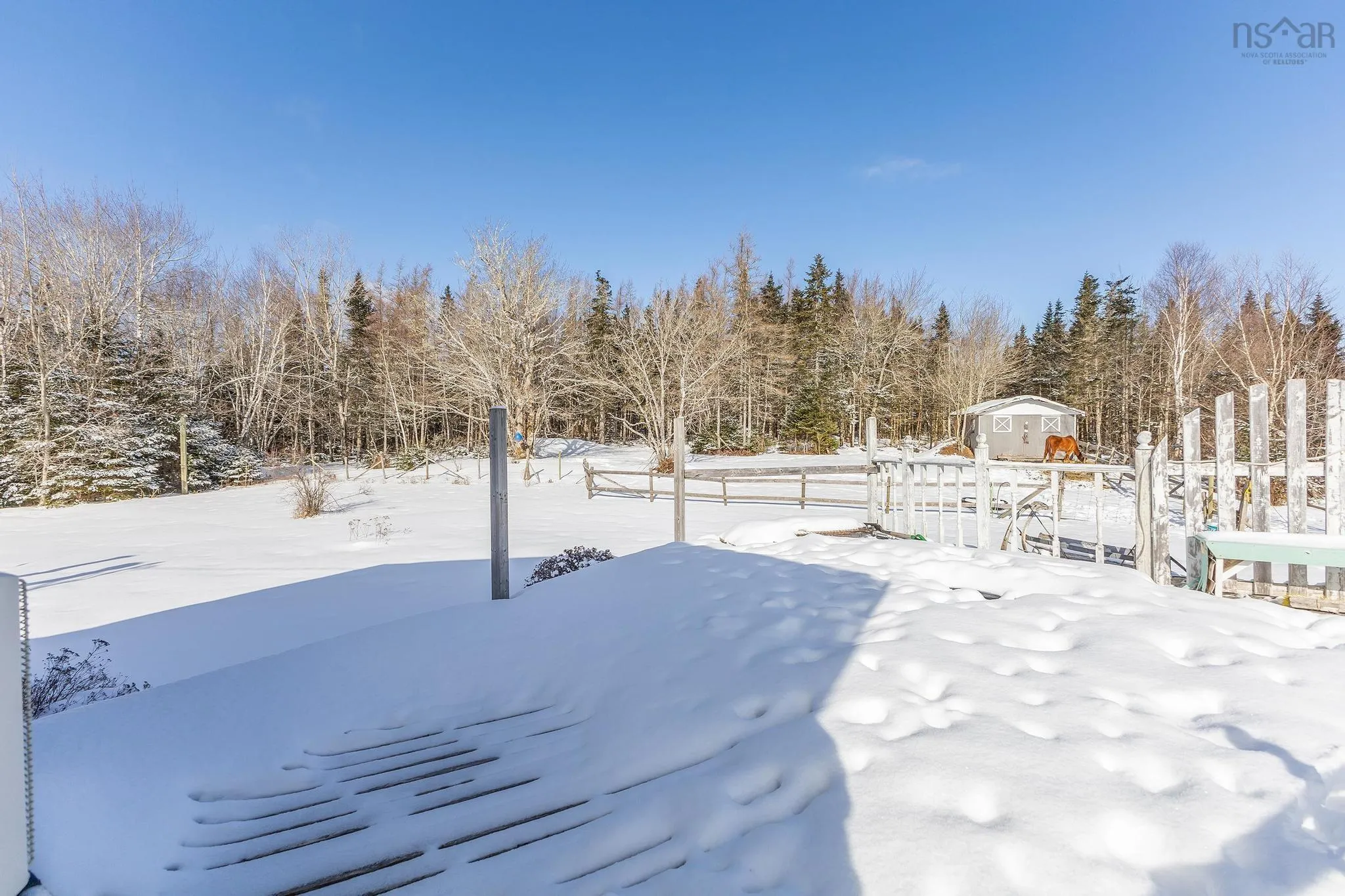 2135 Melrose Country Harbour Road, Country Harbour Ns B0h 1j0, 3 Bedrooms Bedrooms, ,1 BathroomBathrooms,Residential,For Sale,Melrose Country Harbour,202503079