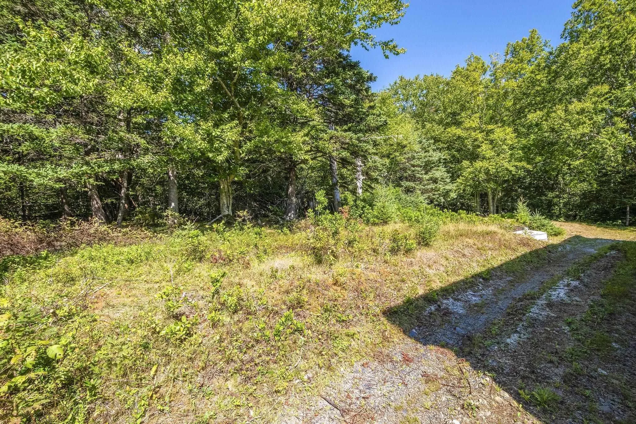 137 Silver Point Road, Garden Lots, NS B0J 2C0, 3 Bedrooms Bedrooms, ,1 BathroomBathrooms,Residential,For Sale,Silver Point,202521139