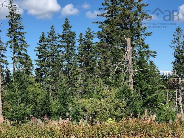 #4 Highway, St. Peter's NS B0E 3B0, ,Land,For Sale,#4,202123225