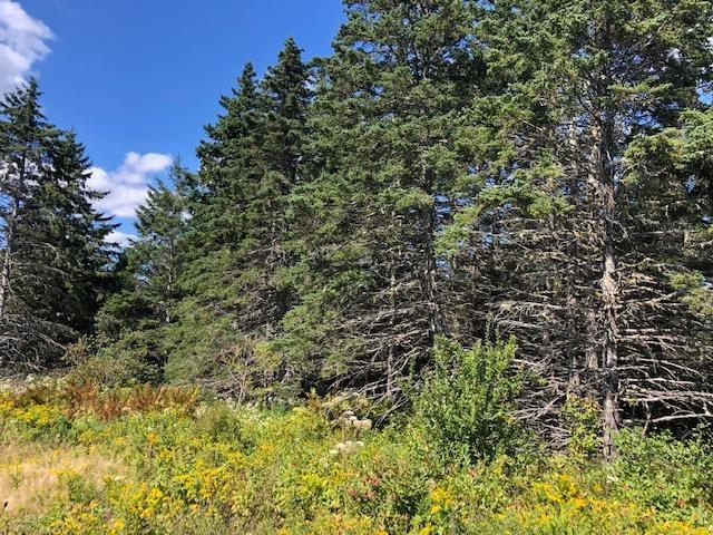 #4 Highway, St. Peter's NS B0E 3B0, ,Land,For Sale,#4,202123225