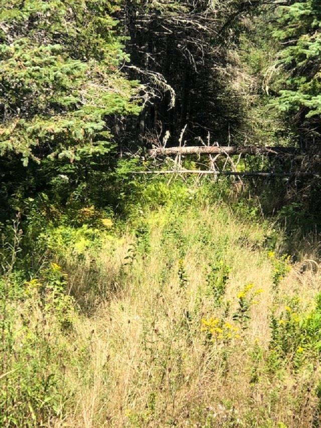 #4 Highway, St. Peter's NS B0E 3B0, ,Land,For Sale,#4,202123225