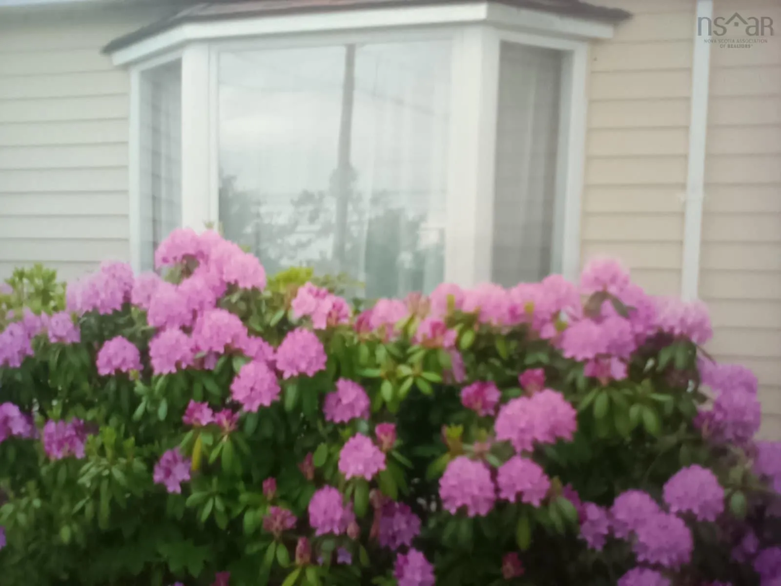 92 Queen Street, North Sydney, NS B2A 1A6, 6 Bedrooms Bedrooms, ,2 BathroomsBathrooms,Residential,For Sale,Queen,202521204