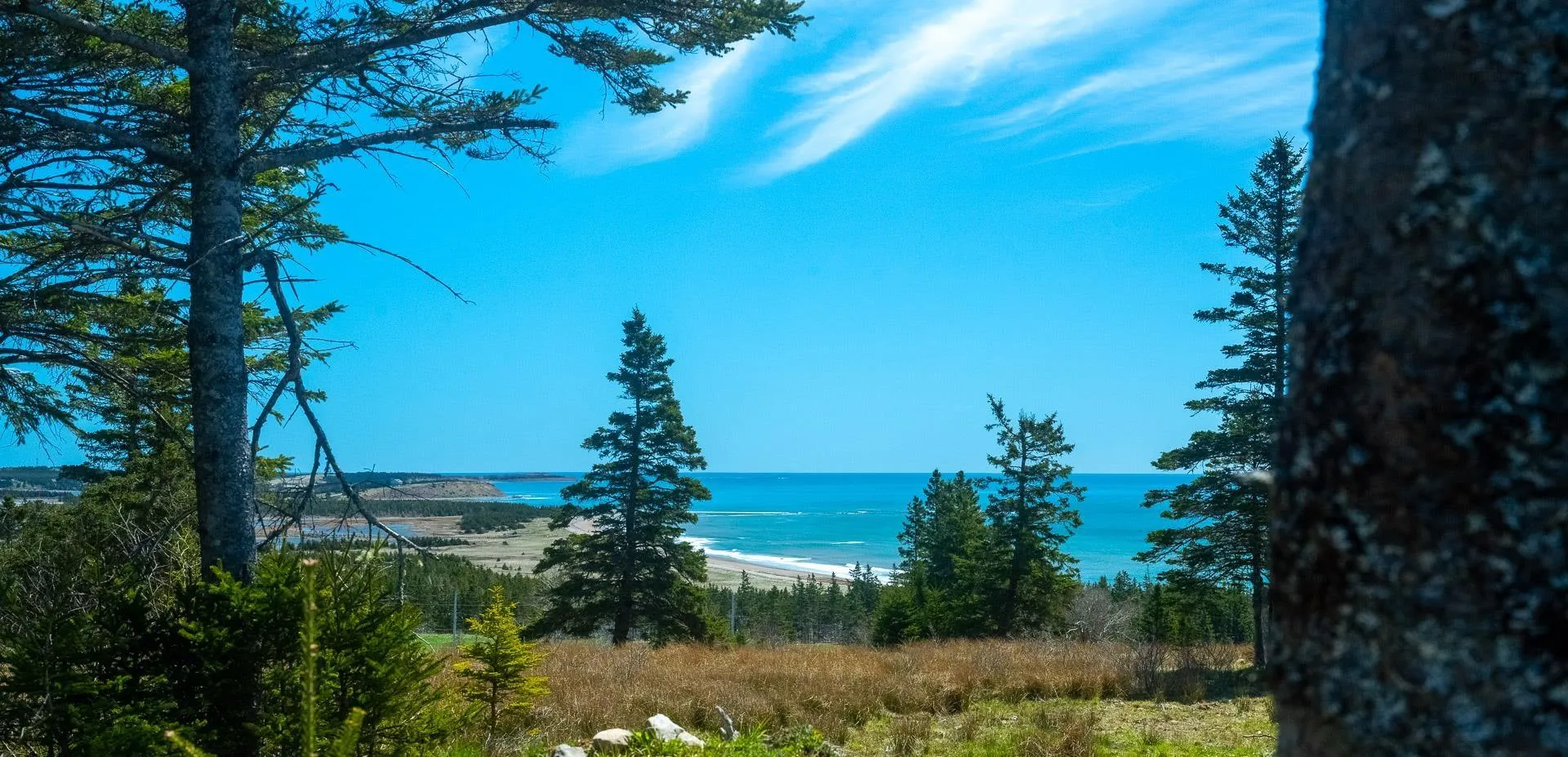 51 Moss Close Lot 1, Lawrencetown Ns B2z 1s5, ,Land,For Sale,Moss,202409922
