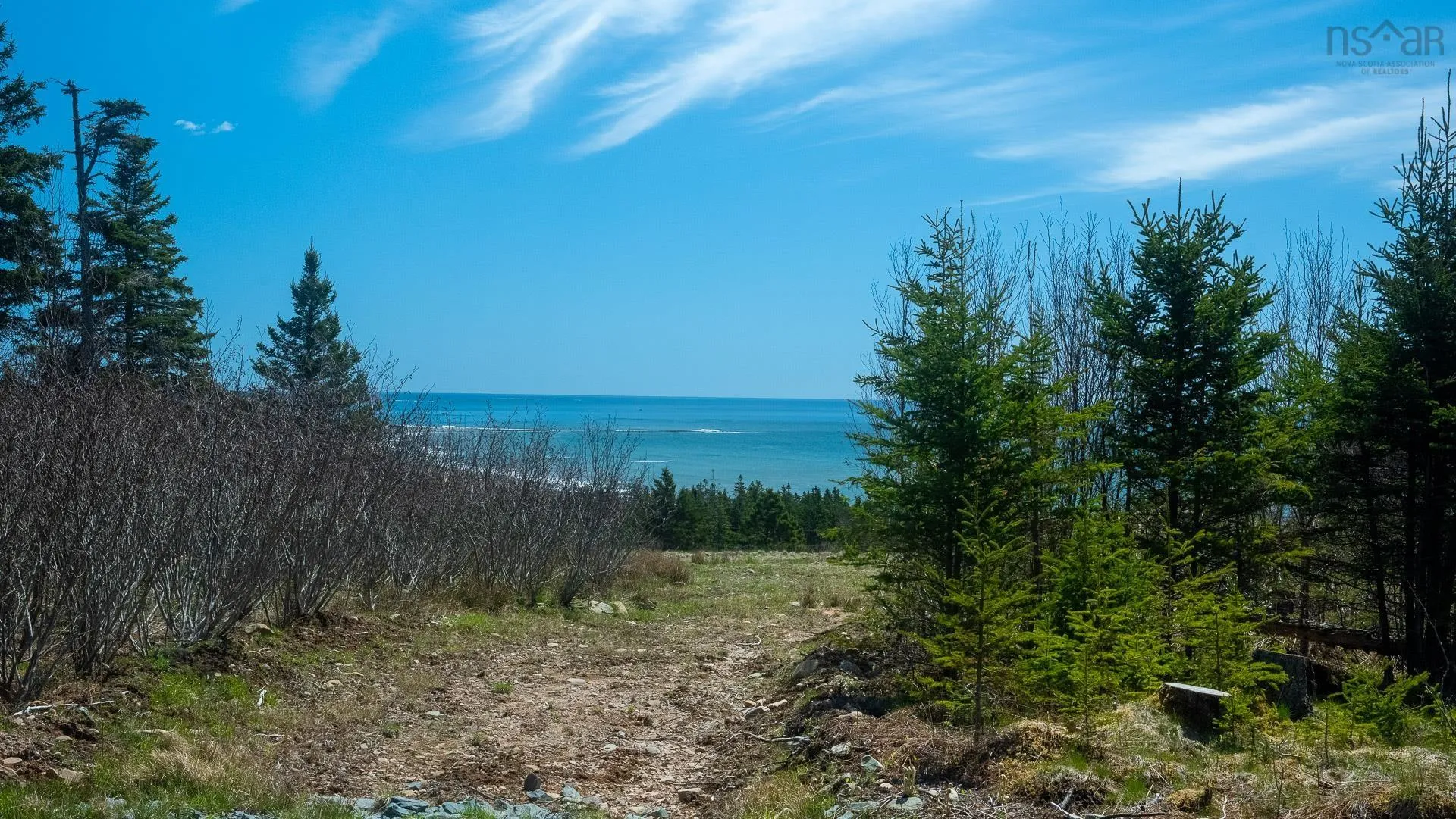 51 Moss Close Lot 1, Lawrencetown Ns B2z 1s5, ,Land,For Sale,Moss,202409922