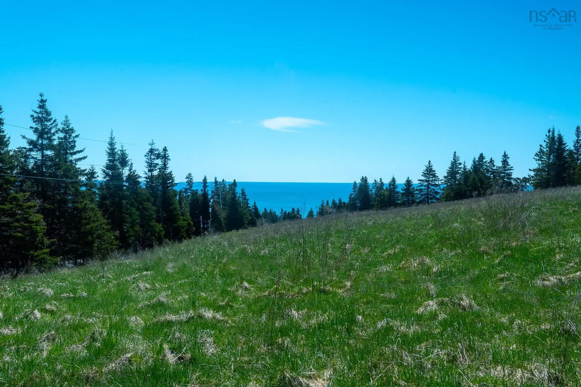51 Moss Close Lot 1, Lawrencetown Ns B2z 1s5, ,Land,For Sale,Moss,202409922