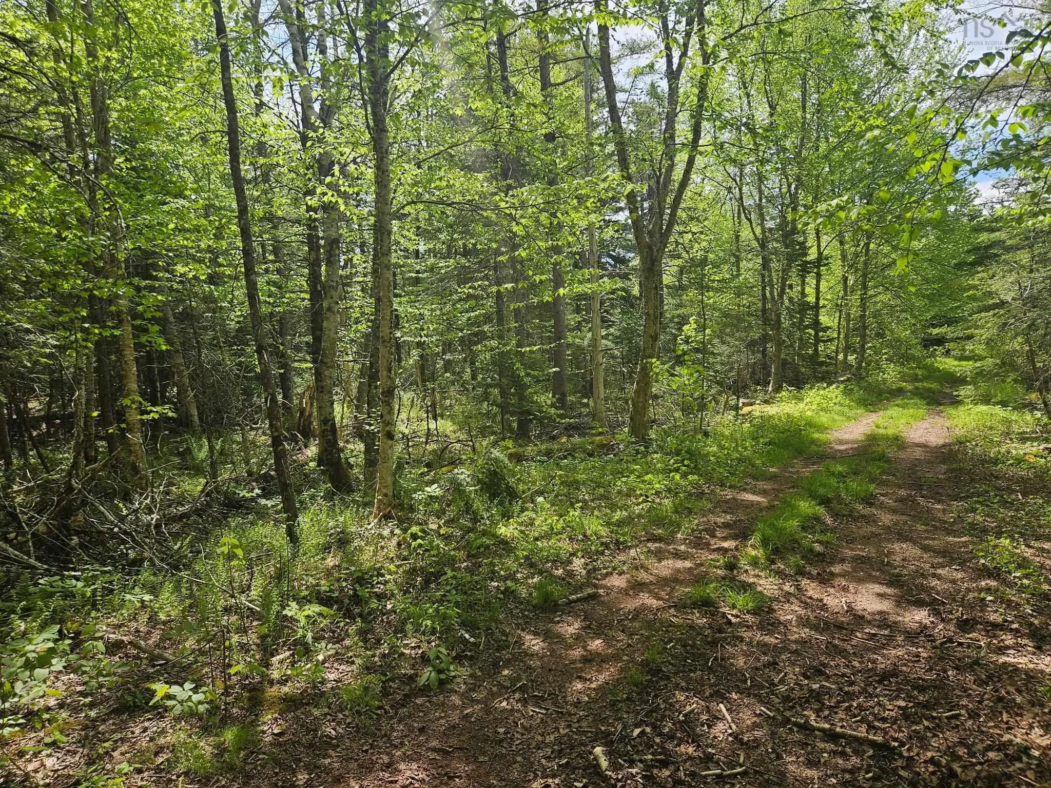 Maple Drive, New Russell, NS B0J 2M0, ,Land,For Sale,Maple,202513277