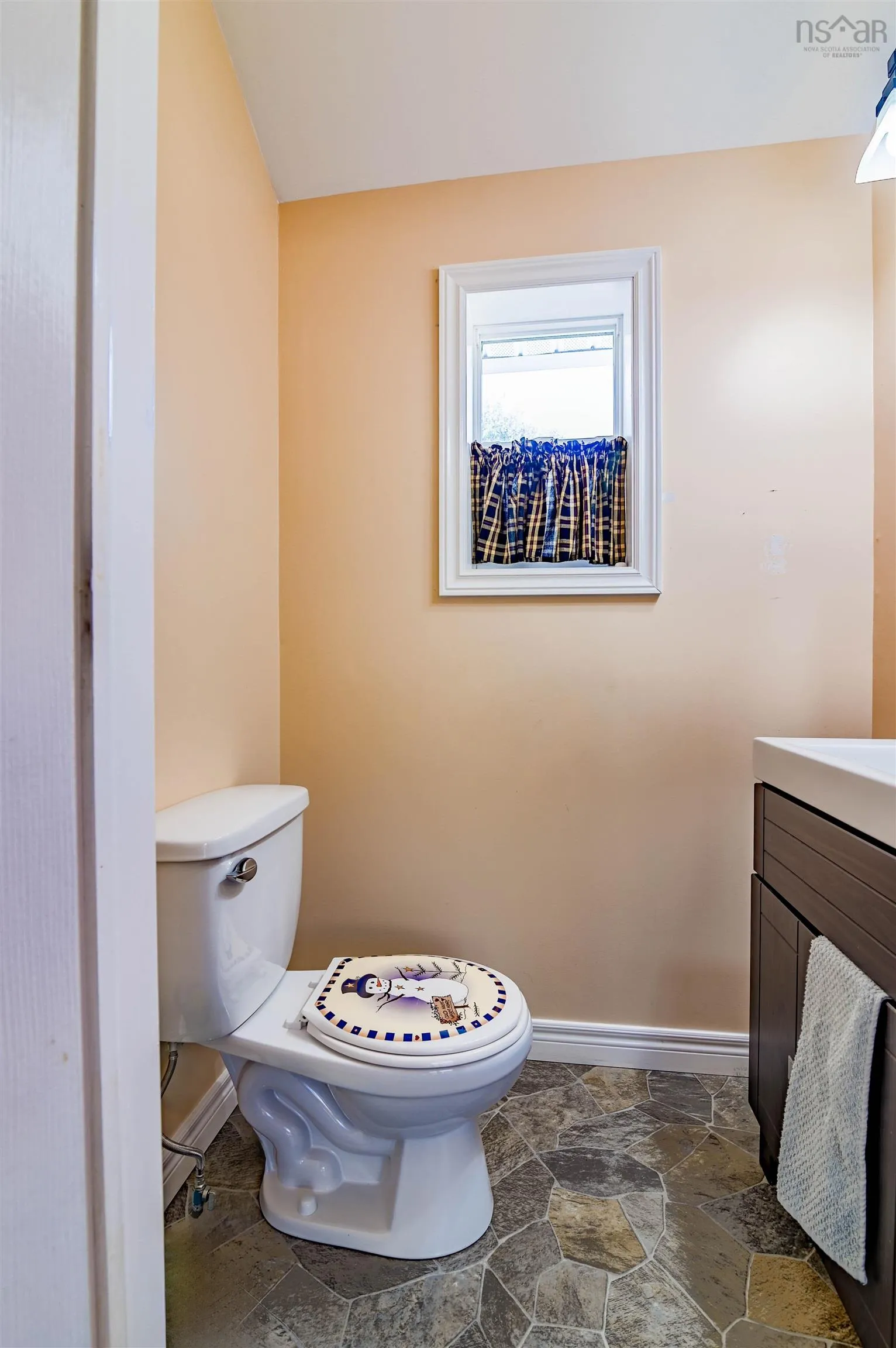 6479 Brooklyn Street, Woodville, NS B0P 1G0, 3 Bedrooms Bedrooms, ,2 BathroomsBathrooms,Residential,For Sale,Brooklyn,202523281