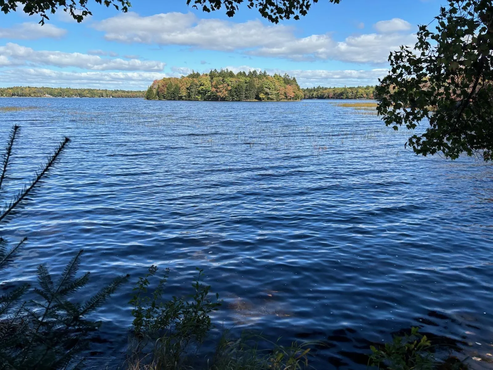 2960 Second Division Road, Concession Ns B0w 1m0, 3 Bedrooms Bedrooms, ,4 BathroomsBathrooms,Residential,For Sale,Second Division,202501041