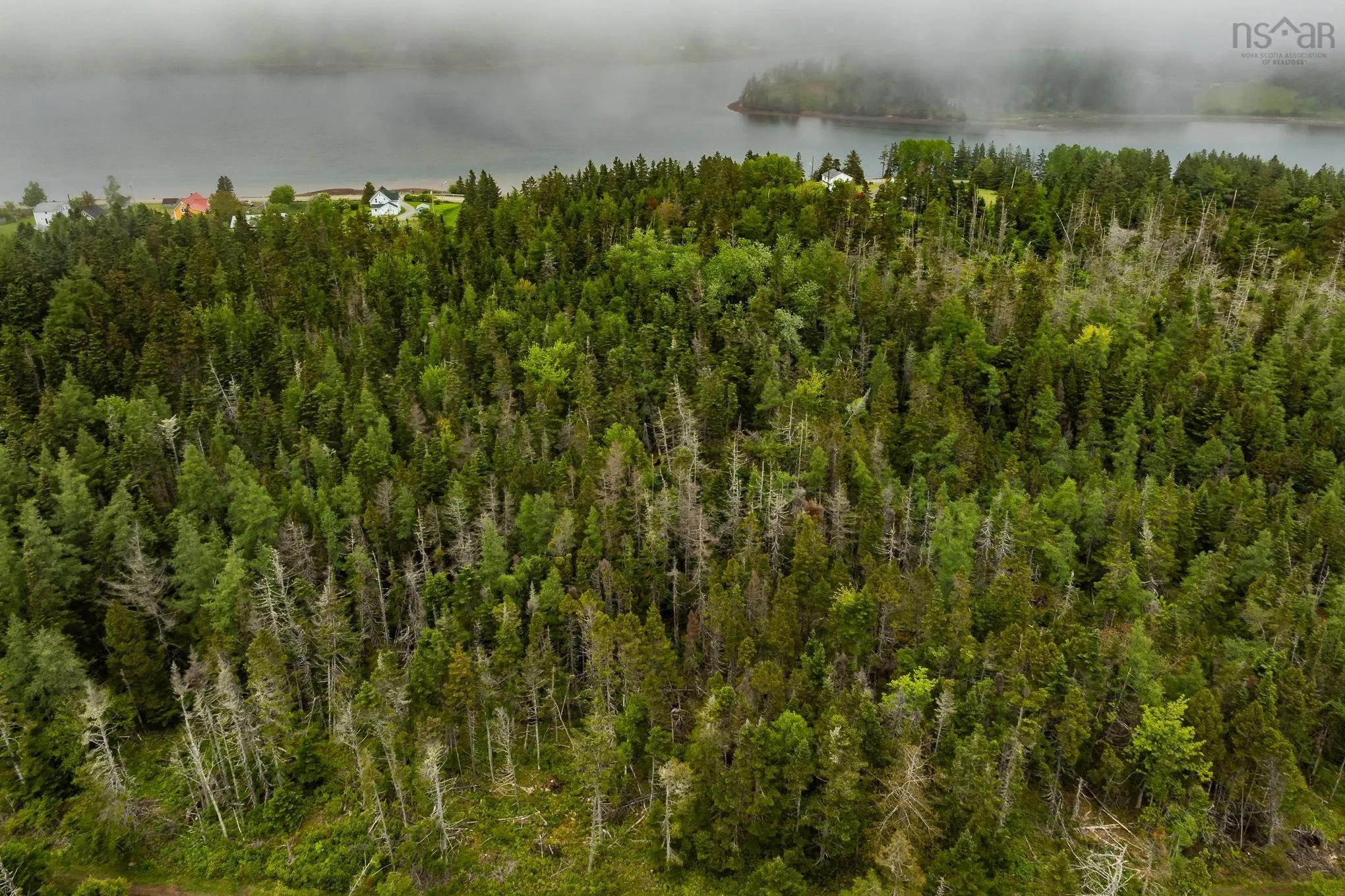South Side River Bourgeois Road, River Bourgeois, NS B0E 2X0, ,Land,For Sale,South Side River Bourgeois,202514917