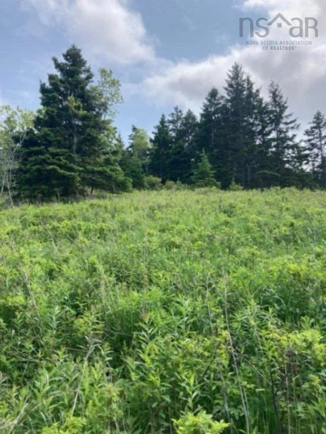 South Side River Bourgeois Road, River Bourgeois, NS B0E 2X0, ,Land,For Sale,South Side River Bourgeois,202514917
