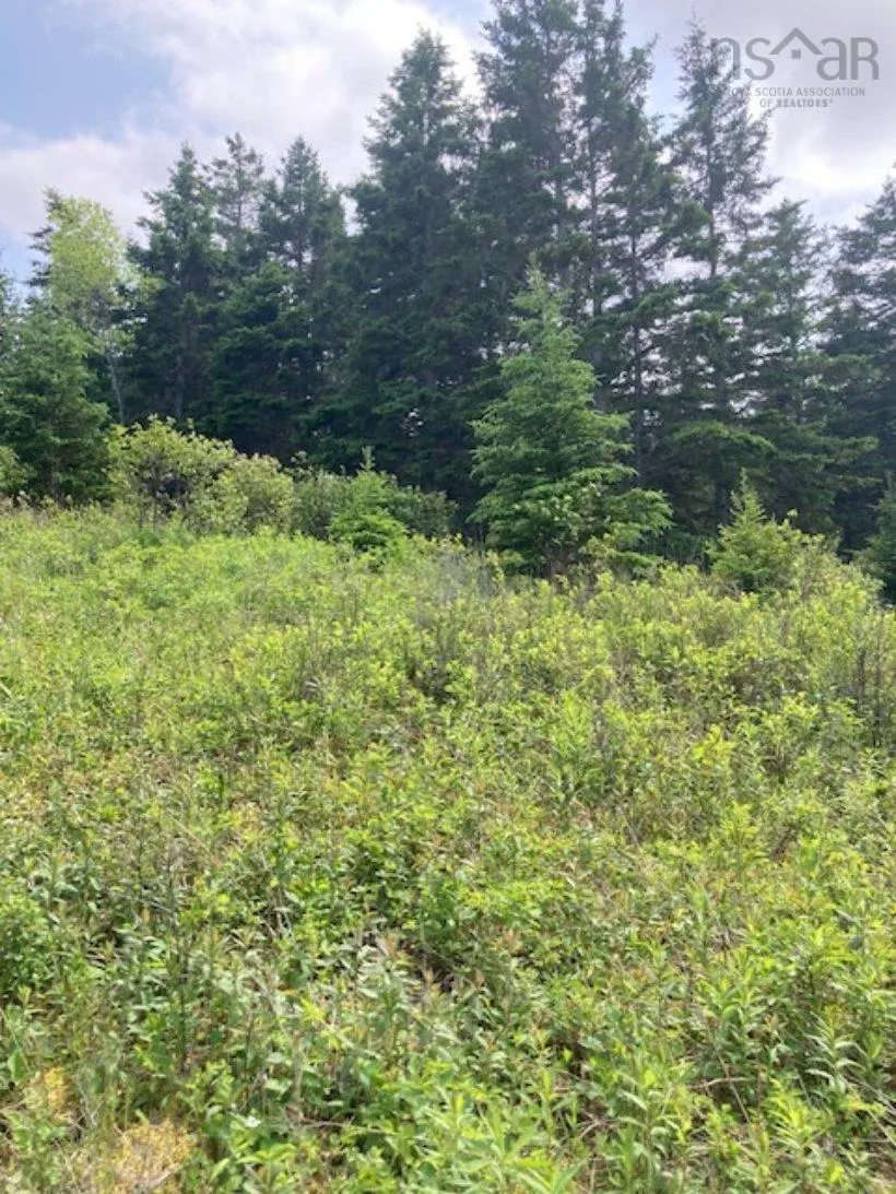 South Side River Bourgeois Road, River Bourgeois, NS B0E 2X0, ,Land,For Sale,South Side River Bourgeois,202514917