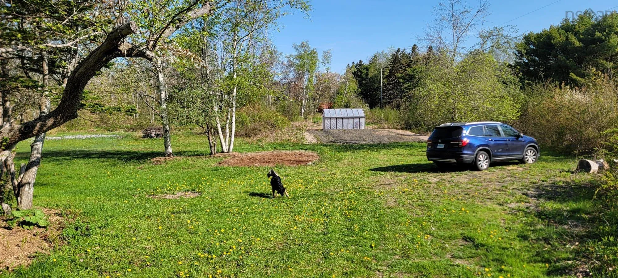 109 Twin Cove Road, Clementsport Ns B0s 1a0, ,Land,For Sale,Twin Cove,202425039