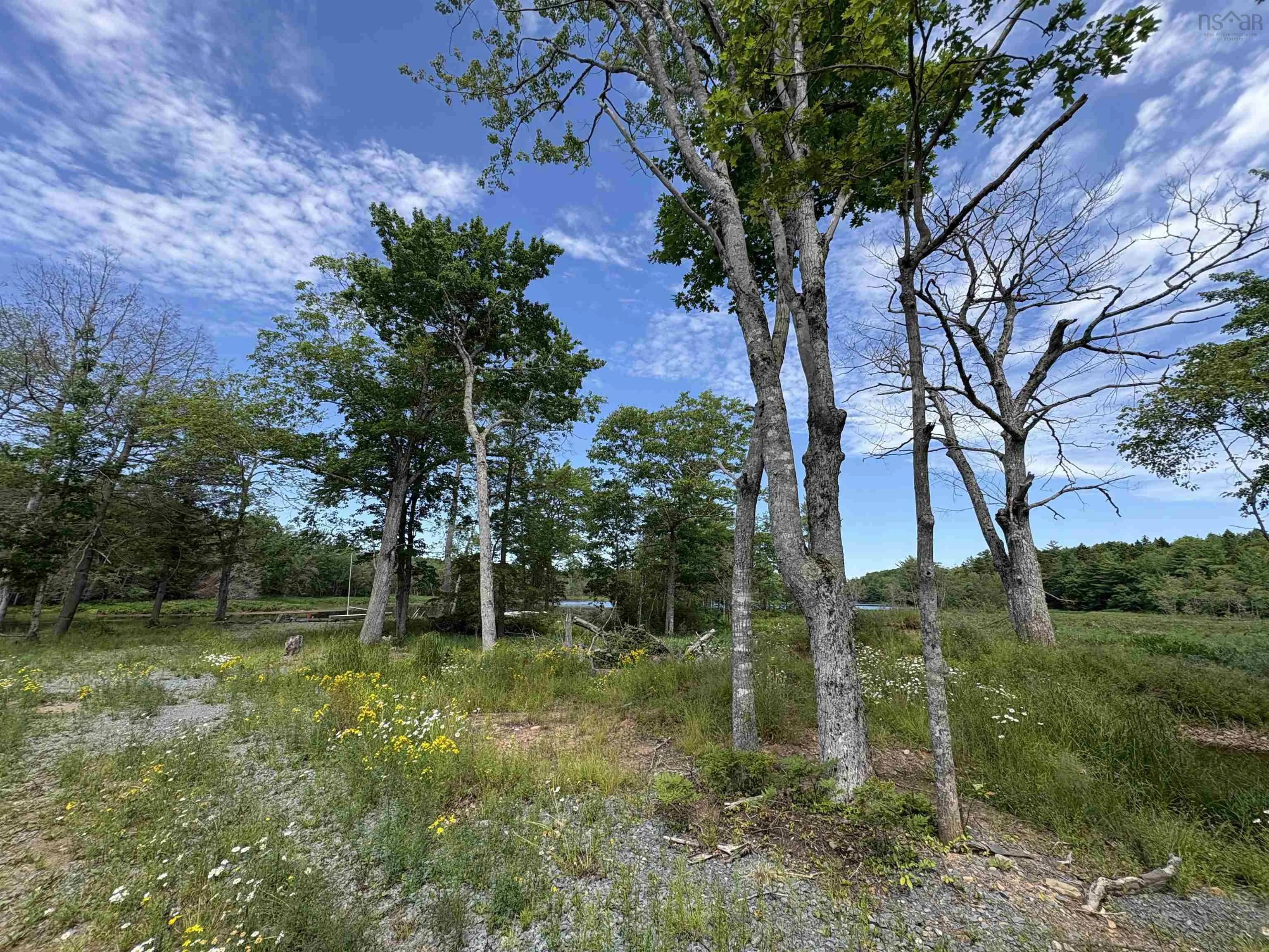 56 Christopher King Lane, Oakfield, NS B2T 1B3, ,Land,For Sale,Christopher King,202517024