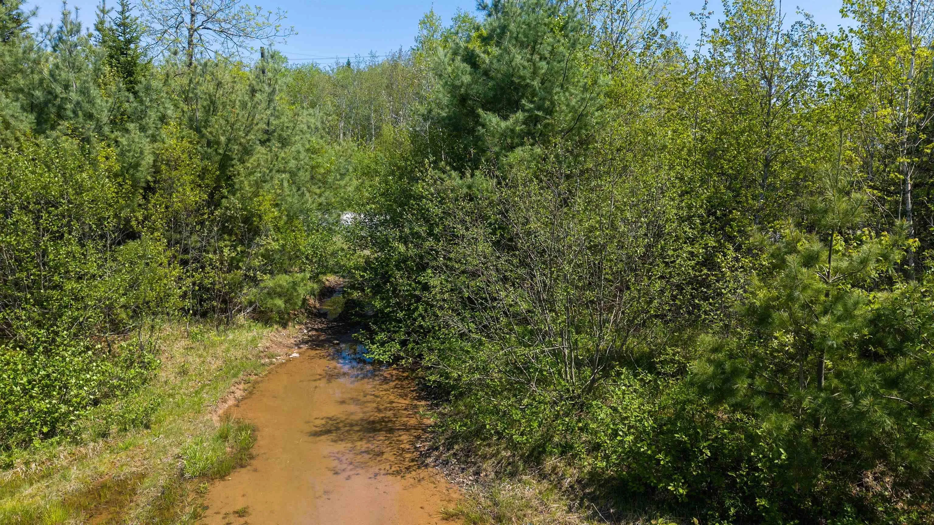 Blois Road Lot 4, Macphees Corner, NS B0N 2H0, ,Land,For Sale,Blois,202512950