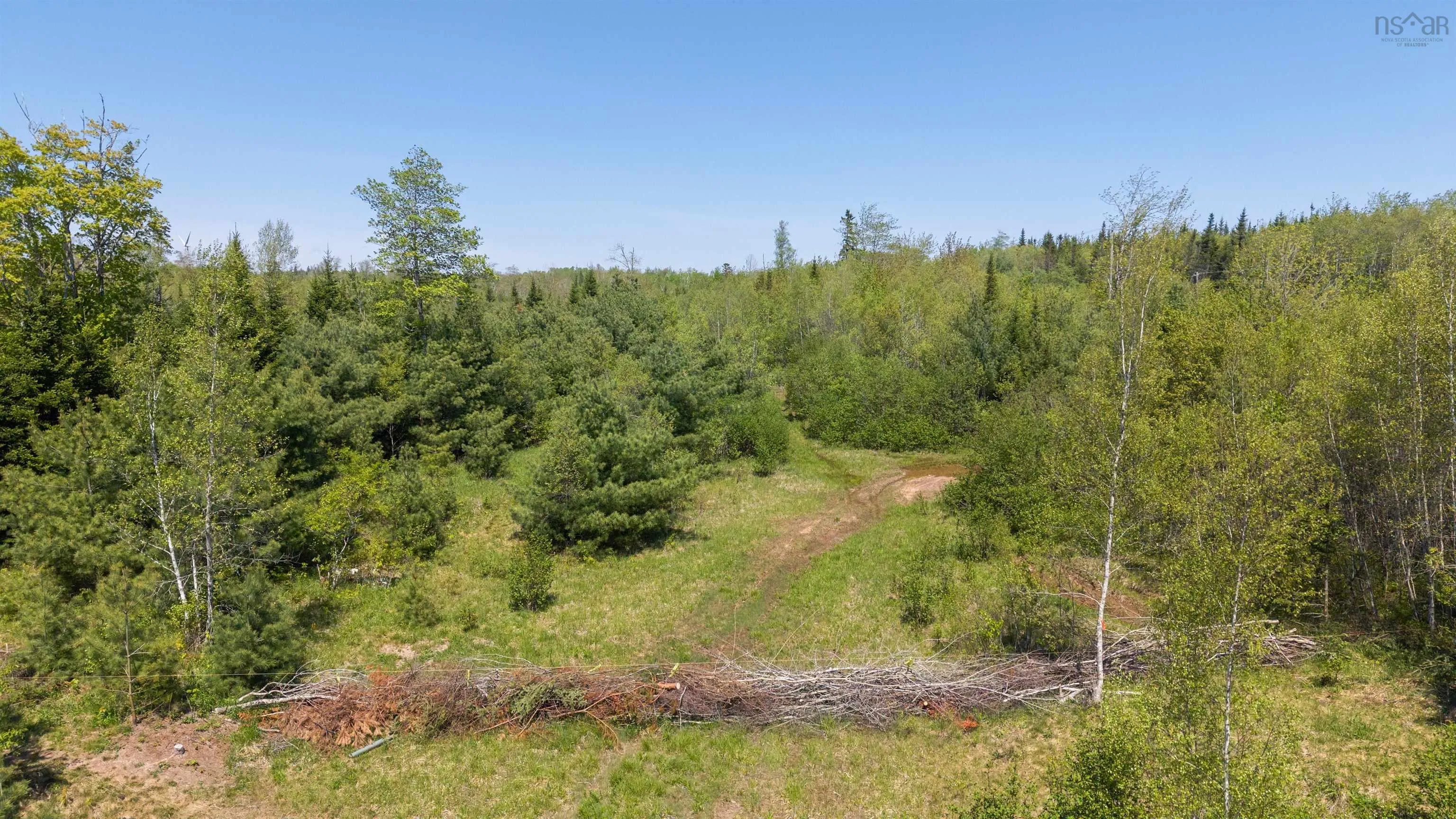 Blois Road Lot 4, Macphees Corner, NS B0N 2H0, ,Land,For Sale,Blois,202512950