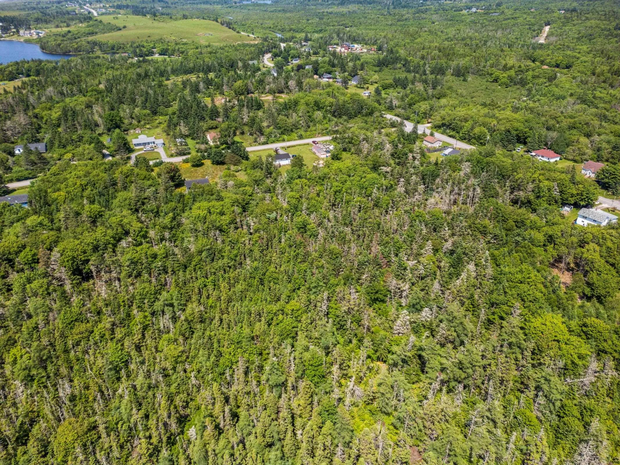 Main Shore Road, North Chegoggin, NS B5A 5H3, ,Land,For Sale,Main Shore,202515824