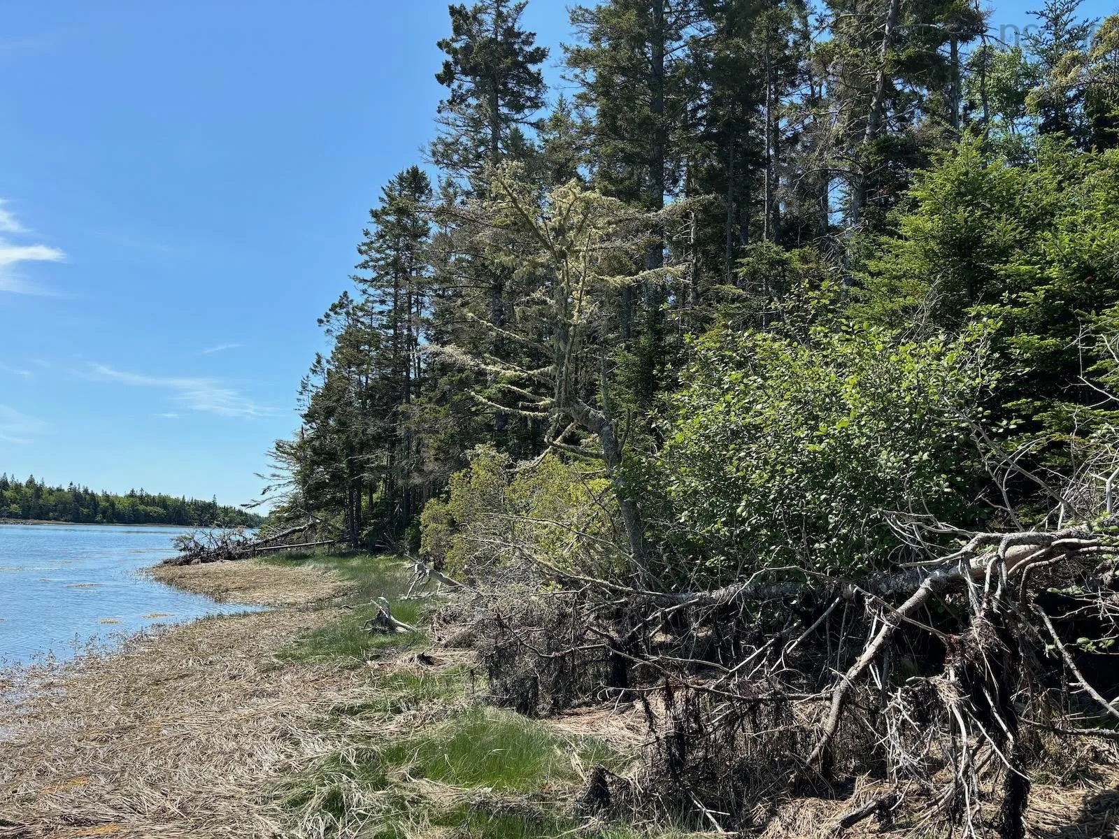 Lot 6 Roberts Island Drive, Roberts Island, NS B0W 1W0, ,Land,For Sale,Roberts Island,202511072