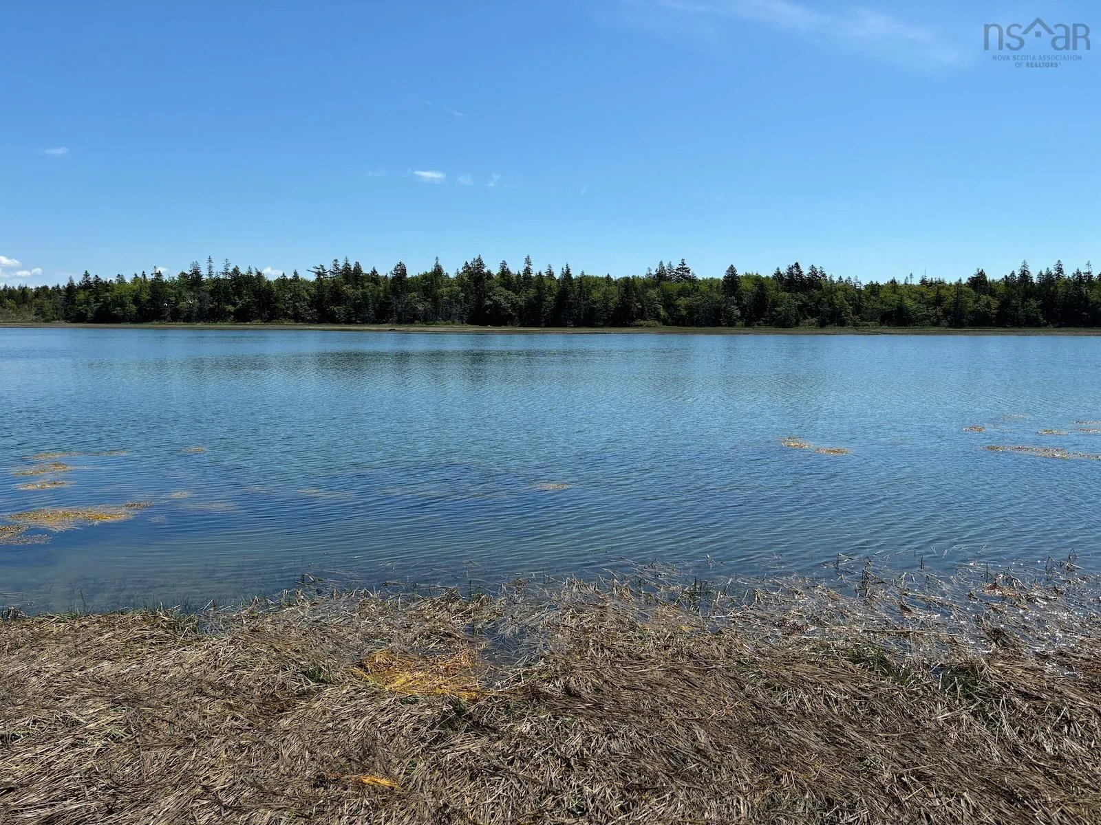 Lot 6 Roberts Island Drive, Roberts Island, NS B0W 1W0, ,Land,For Sale,Roberts Island,202511072