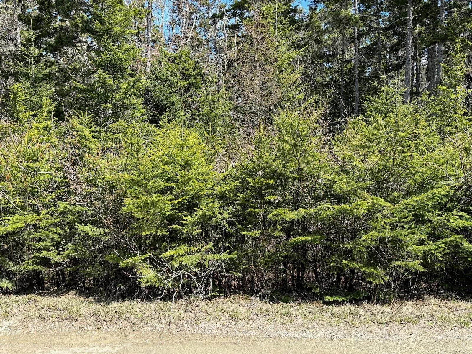 Lot 6 Roberts Island Drive, Roberts Island, NS B0W 1W0, ,Land,For Sale,Roberts Island,202511072