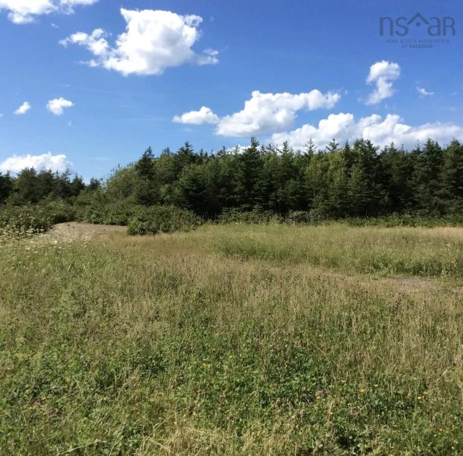 #6 Mines Road, Donkin, NS B1A 6N9, ,Land,For Sale,Mines Road,202522157