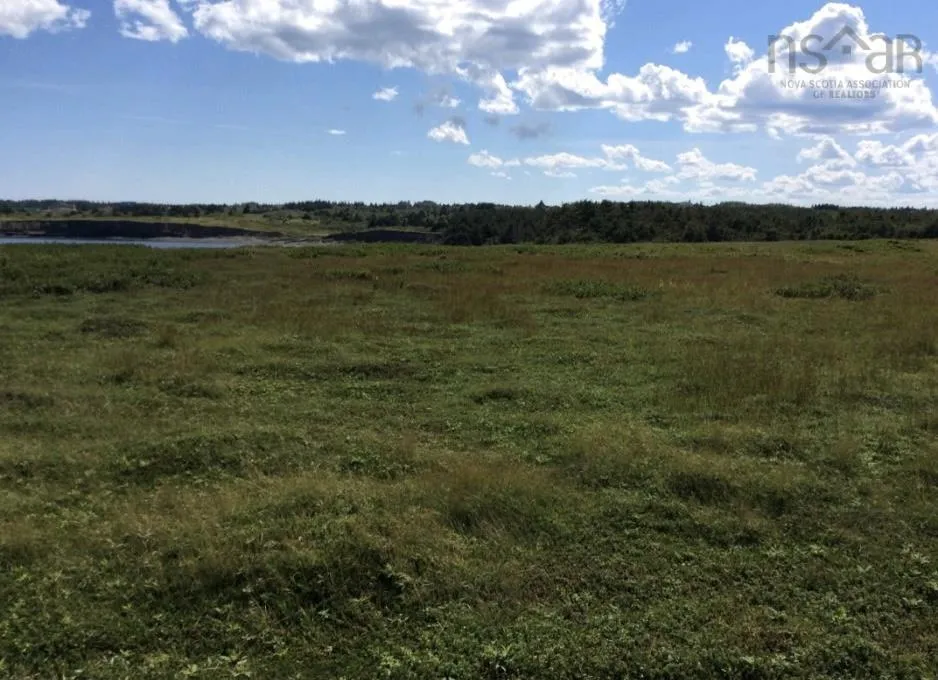 #6 Mines Road, Donkin, NS B1A 6N9, ,Land,For Sale,Mines Road,202522157