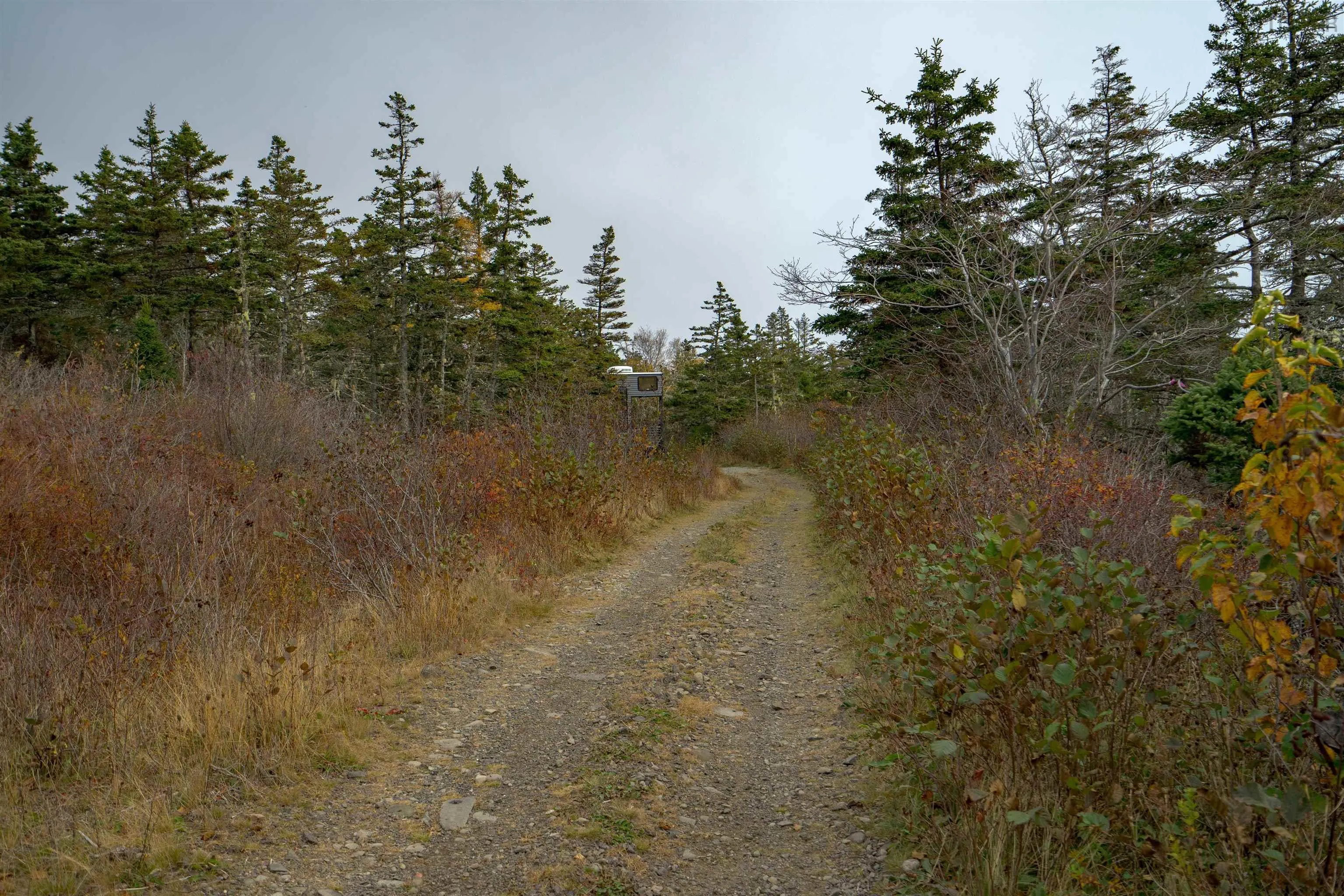 Lot 6 South View Drive, Freeport Ns B0v 1b0, ,Land,For Sale,South View Drive,202426985