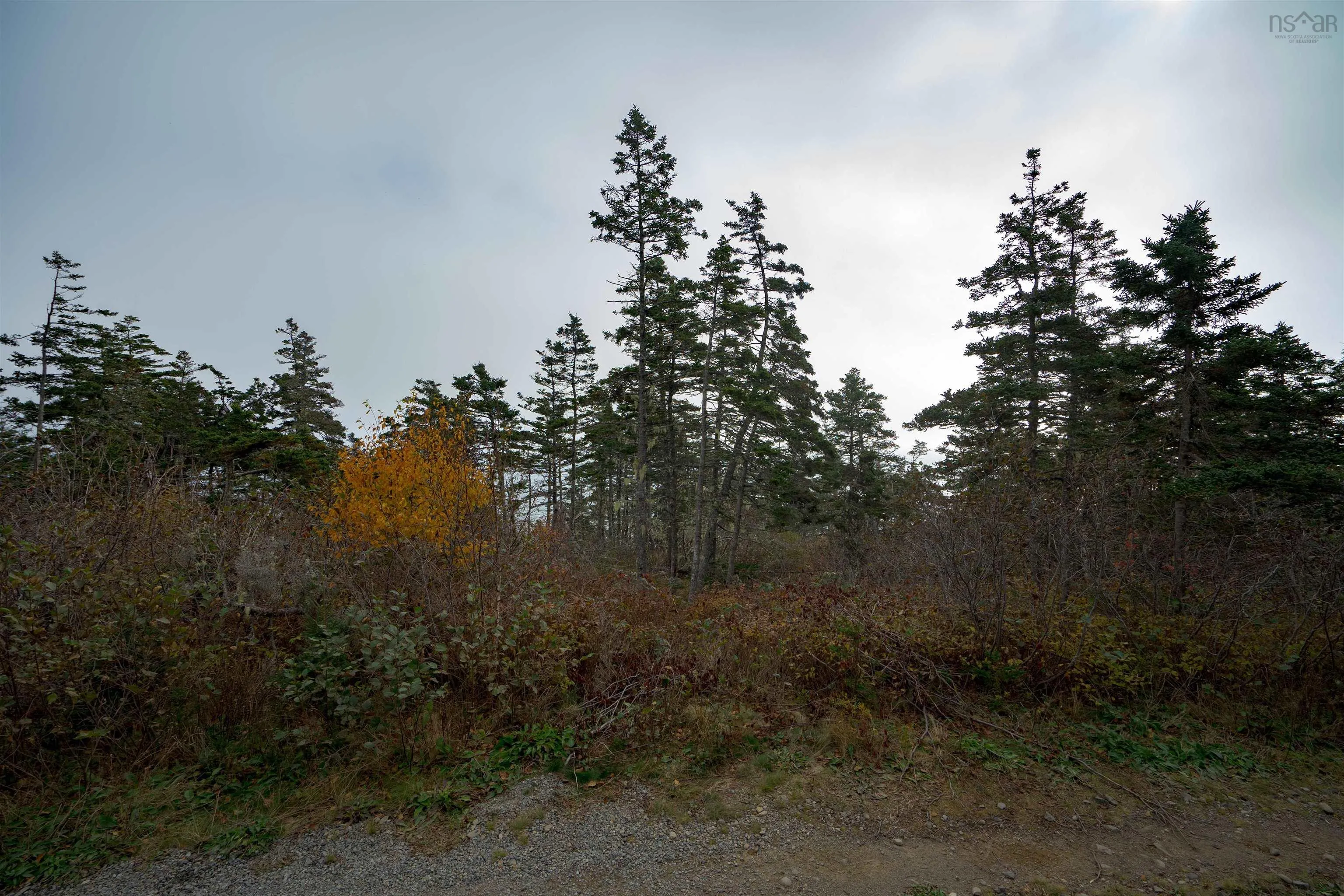 Lot 6 South View Drive, Freeport Ns B0v 1b0, ,Land,For Sale,South View Drive,202426985