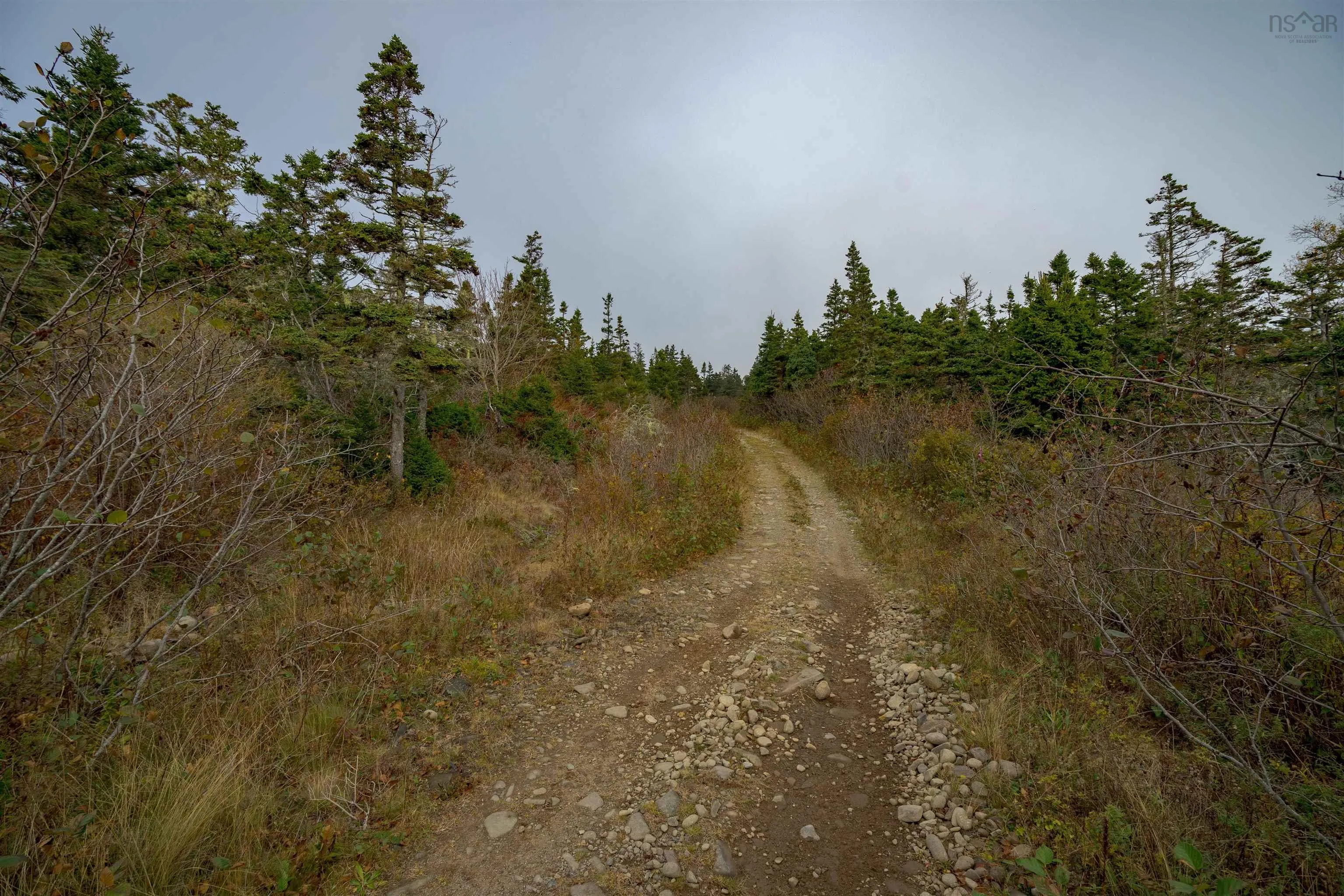 Lot 6 South View Drive, Freeport Ns B0v 1b0, ,Land,For Sale,South View Drive,202426985