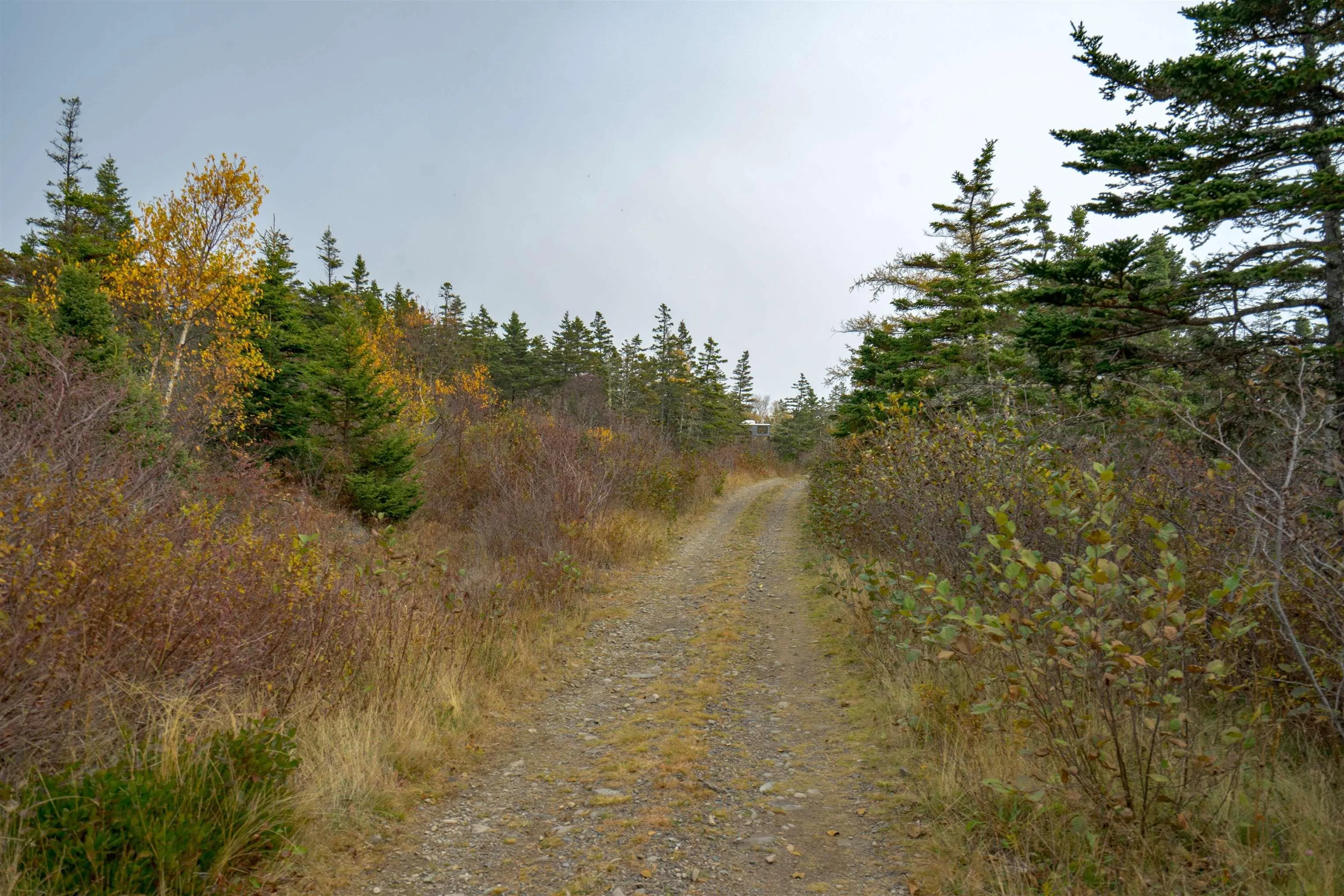 Lot 6 South View Drive, Freeport Ns B0v 1b0, ,Land,For Sale,South View Drive,202426985
