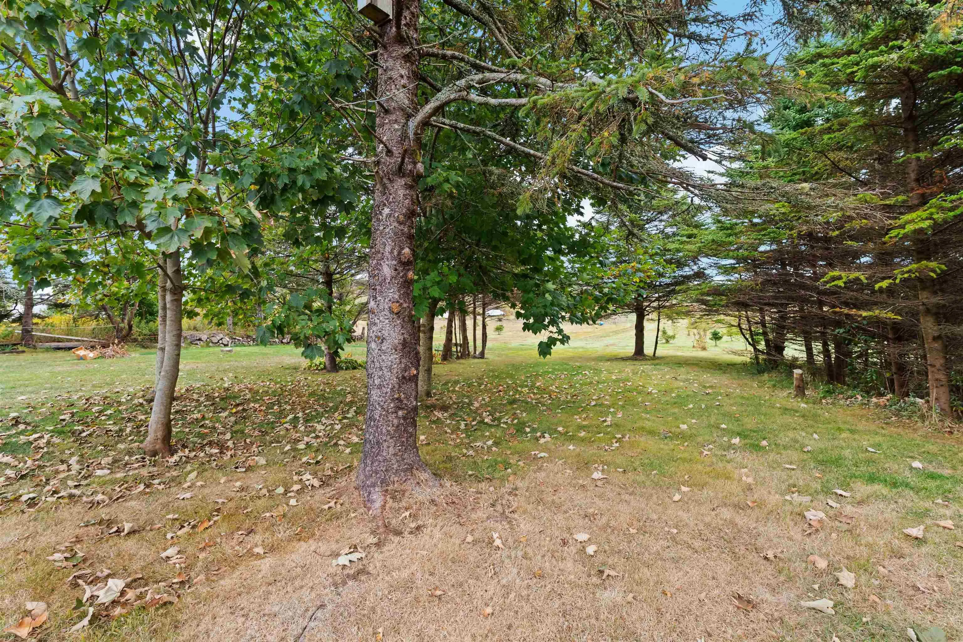 31 Overcove Road, Freeport, NS B0V 1B0, 3 Bedrooms Bedrooms, ,1 BathroomBathrooms,Residential,For Sale,Overcove,202525434